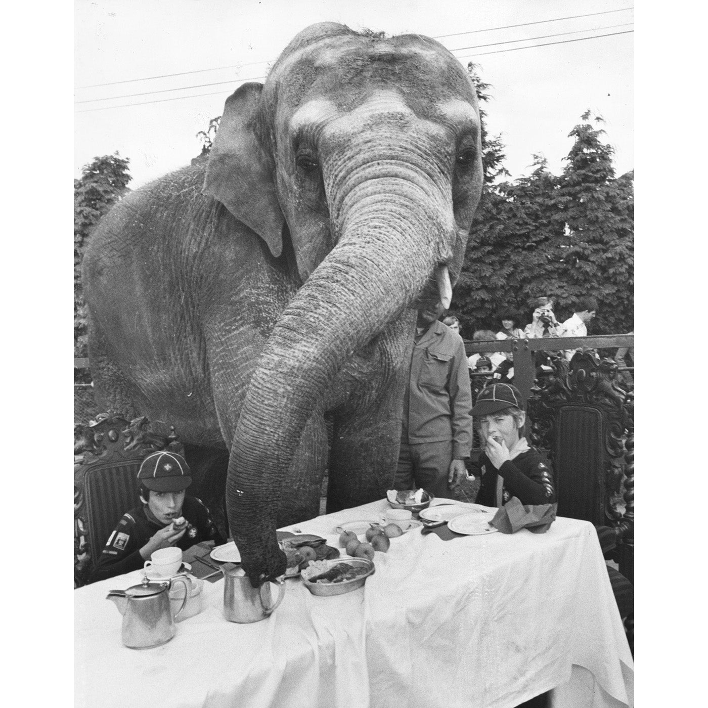 "Elephant for Tea" from Getty Images Art Studio Jonathan Adler , Black Friday Sale Jonathan Adler Furniture Sale, Old Bones Co, Mid Century Furniture Sale, Four Hands Furniture, Black Friday Sale "Elephant for Tea" from Getty Images,Gus Sale, Perigold "Elephant for Tea" from Getty Images Art Studio Black Friday Sale , Perigold Sale "Elephant for Tea" from Getty Images,"Elephant for Tea" from Getty Images Lulu and Georgia, Burke Decor Sale "Elephant for Tea" from Getty Images, www.oldbonesco.com