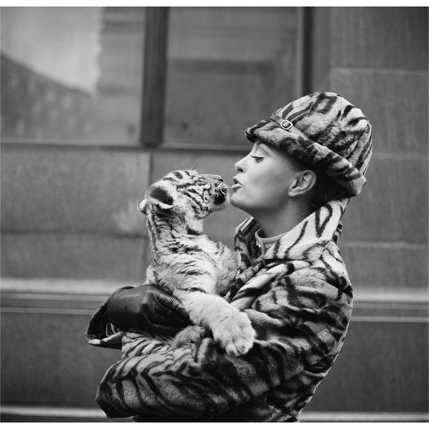 "Tiger Lady" from Getty Images Art Studio Jonathan Adler 16" X 16" , Black Friday Sale Jonathan Adler Furniture Sale, Old Bones Co, Mid Century Furniture Sale, Four Hands Furniture, Black Friday Sale "Tiger Lady" from Getty Images,Gus Sale, Perigold "Tiger Lady" from Getty Images Art Studio Black Friday Sale , Perigold Sale "Tiger Lady" from Getty Images,"Tiger Lady" from Getty Images Lulu and Georgia, Burke Decor Sale "Tiger Lady" from Getty Images, www.oldbonesco.com