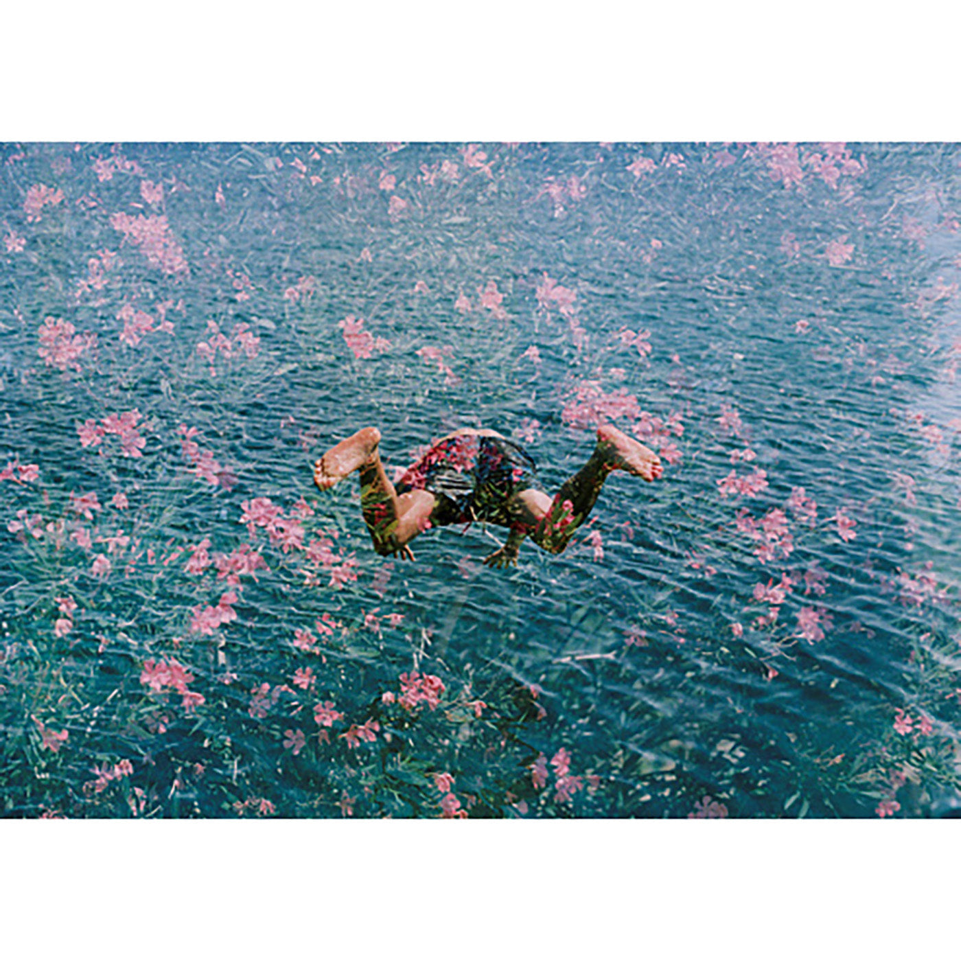 "Diving into Pink Flowers" from Getty Images Art Studio Jonathan Adler , Black Friday Sale Jonathan Adler Furniture Sale, Old Bones Co, Mid Century Furniture Sale, Four Hands Furniture, Black Friday Sale "Diving into Pink Flowers" from Getty Images,Gus Sale, Perigold "Diving into Pink Flowers" from Getty Images Art Studio Black Friday Sale , Perigold Sale "Diving into Pink Flowers" from Getty Images,"Diving into Pink Flowers" from Getty Images Lulu and Georgia, Burke Decor Sale "Diving into Pink Flowers" fr