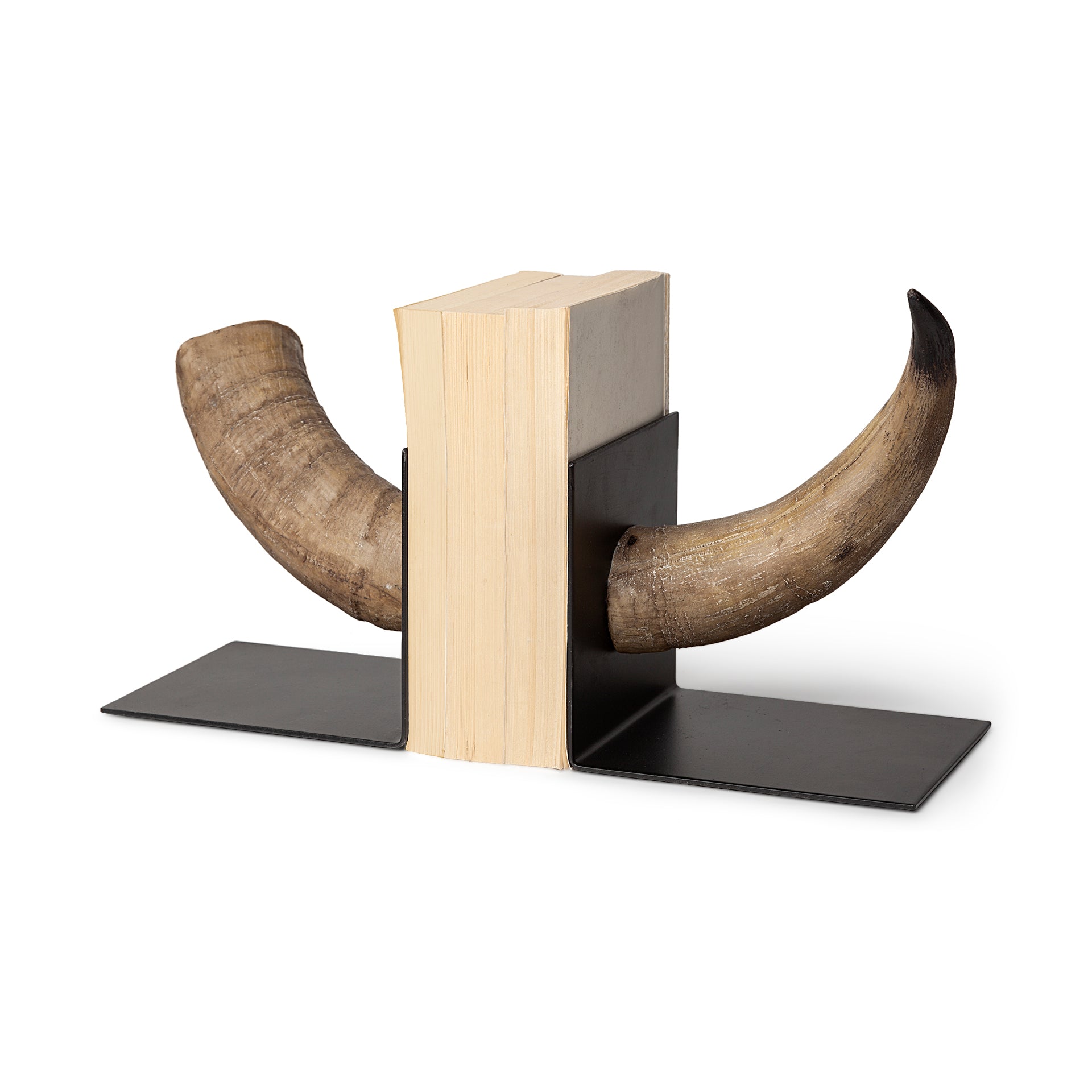 Nickerson Bull Horn Bookends - Set of 2