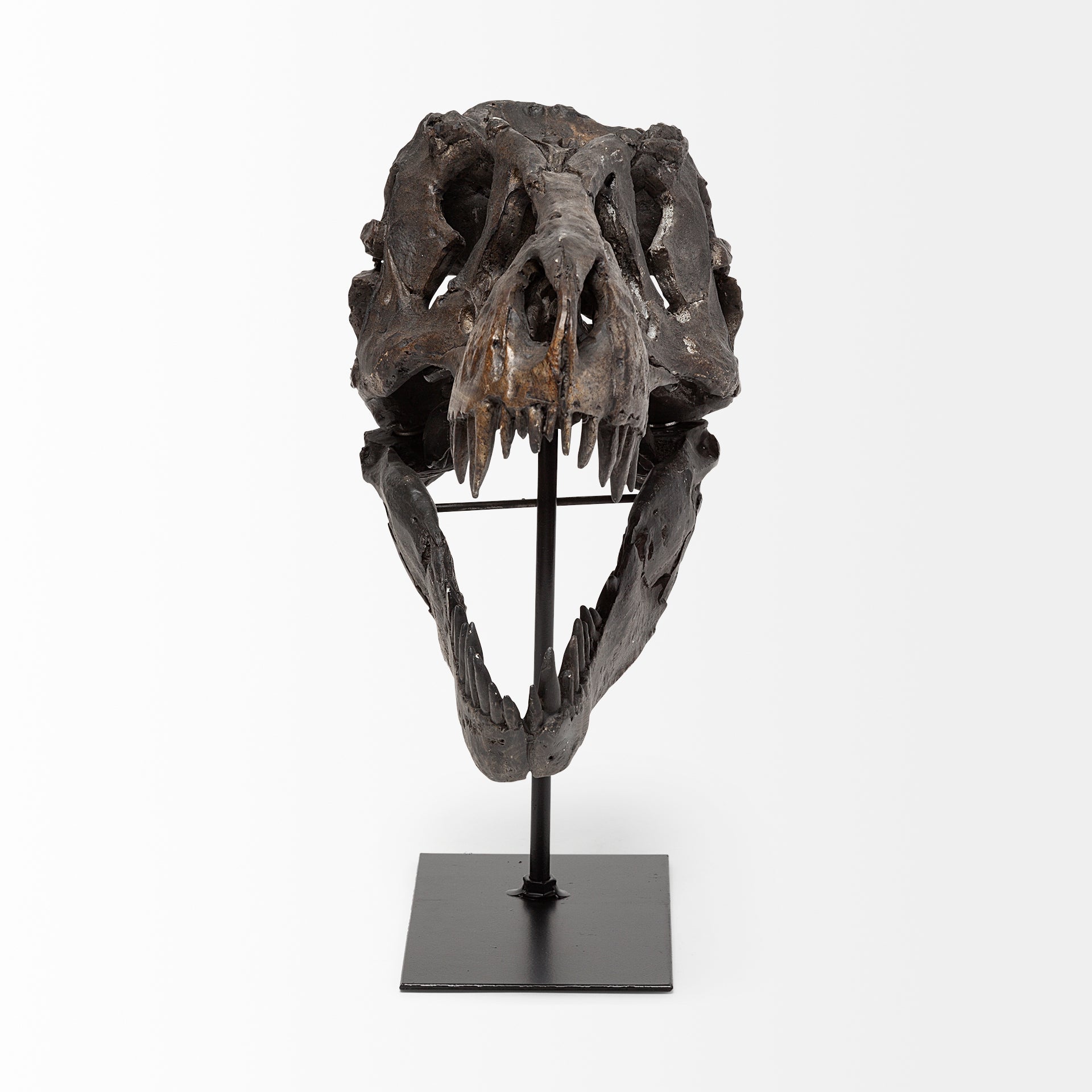 Jurassic Brown Resin Tyrannosaurus Skull Replica Object Decorative Objects Mercana , Black Friday Sale Mercana Furniture Sale, Old Bones Co, Mid Century Furniture Sale, Four Hands Furniture, Black Friday Sale Jurassic Brown Resin Tyrannosaurus Skull Replica Object,Gus Sale, Perigold Jurassic Brown Resin Tyrannosaurus Skull Replica Object Decorative Objects Black Friday Sale , Perigold Sale Jurassic Brown Resin Tyrannosaurus Skull Replica Object,Jurassic Brown Resin Tyrannosaurus Skull Replica Object Lulu an