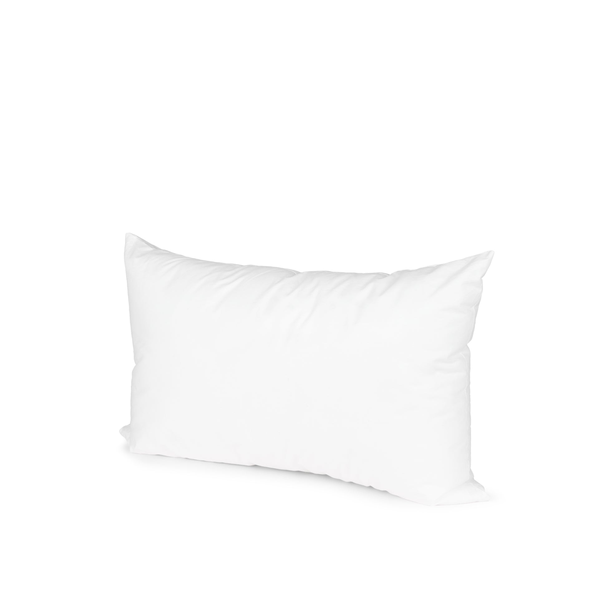 Non-Allergen Pillow Insert Accent Pillows Mercana 21" X 13" , Black Friday Sale Mercana Furniture Sale, Old Bones Co, Mid Century Furniture Sale, Four Hands Furniture, Black Friday Sale Non-Allergen Pillow Insert,Gus Sale, Perigold Non-Allergen Pillow Insert Accent Pillows Black Friday Sale , Perigold Sale Non-Allergen Pillow Insert,Non-Allergen Pillow Insert Lulu and Georgia, Burke Decor Sale Non-Allergen Pillow Insert, www.oldbonesco.com