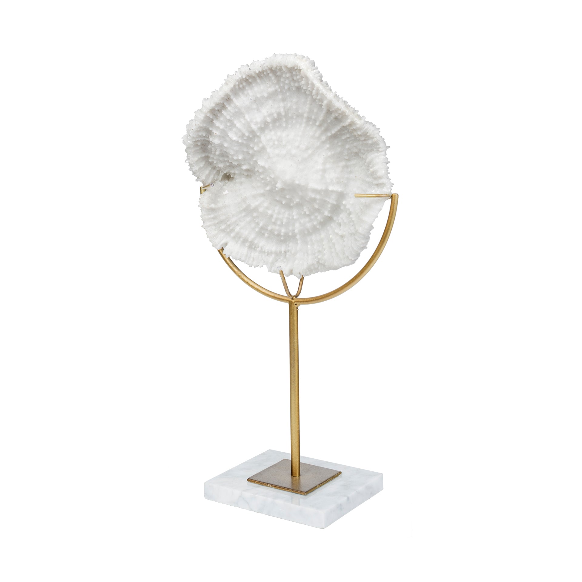 Sandy I White Coastal Sand Dollar Object
