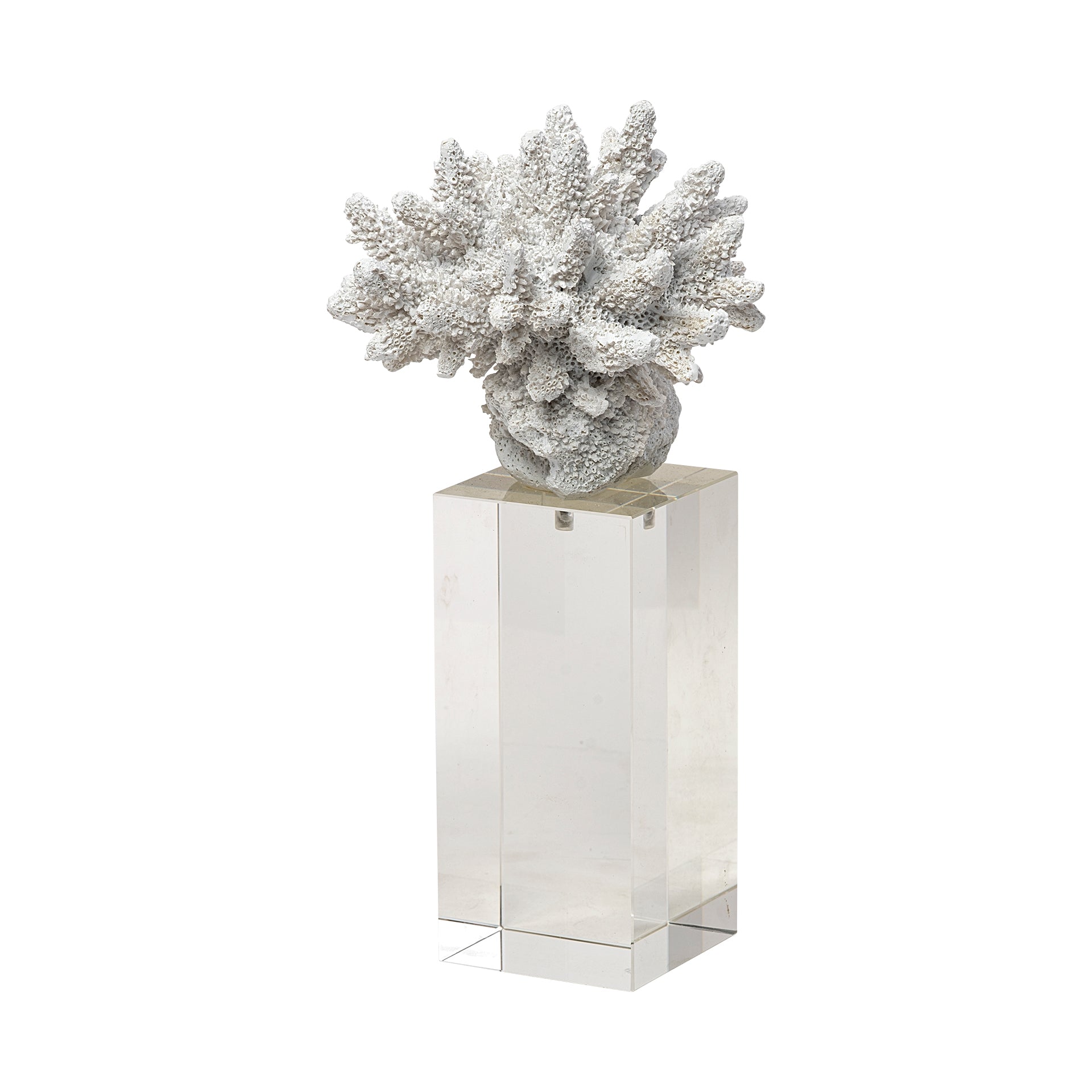 Isla Large White Replica Resin Coral On Clear White Glass