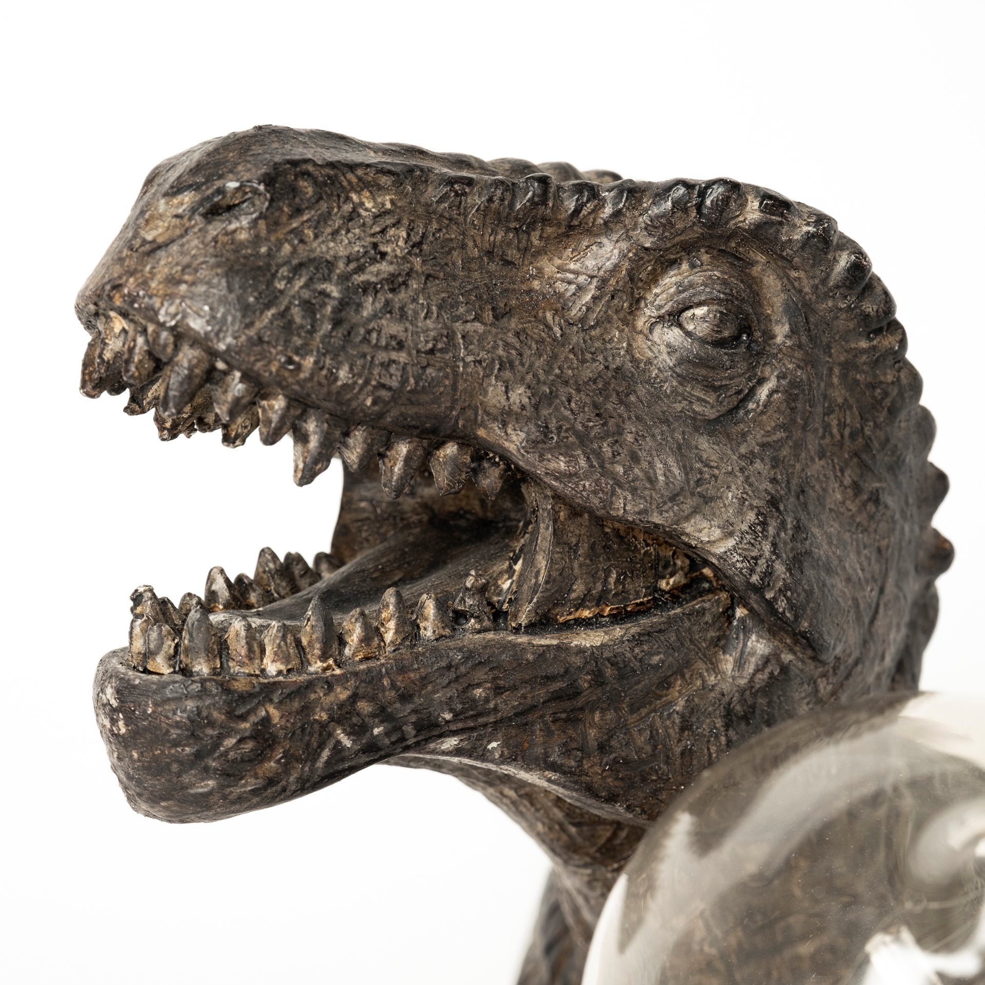 Raptor Dark Tone Resin Tyrannosaurus Rex Table Lamp Table & Desk Lamps Mercana , Black Friday Sale Mercana Furniture Sale, Old Bones Co, Mid Century Furniture Sale, Four Hands Furniture, Black Friday Sale Raptor Dark Tone Resin Tyrannosaurus Rex Table Lamp,Gus Sale, Perigold Raptor Dark Tone Resin Tyrannosaurus Rex Table Lamp Table & Desk Lamps Black Friday Sale , Perigold Sale Raptor Dark Tone Resin Tyrannosaurus Rex Table Lamp,Raptor Dark Tone Resin Tyrannosaurus Rex Table Lamp Lulu and Georgia, Burke Dec