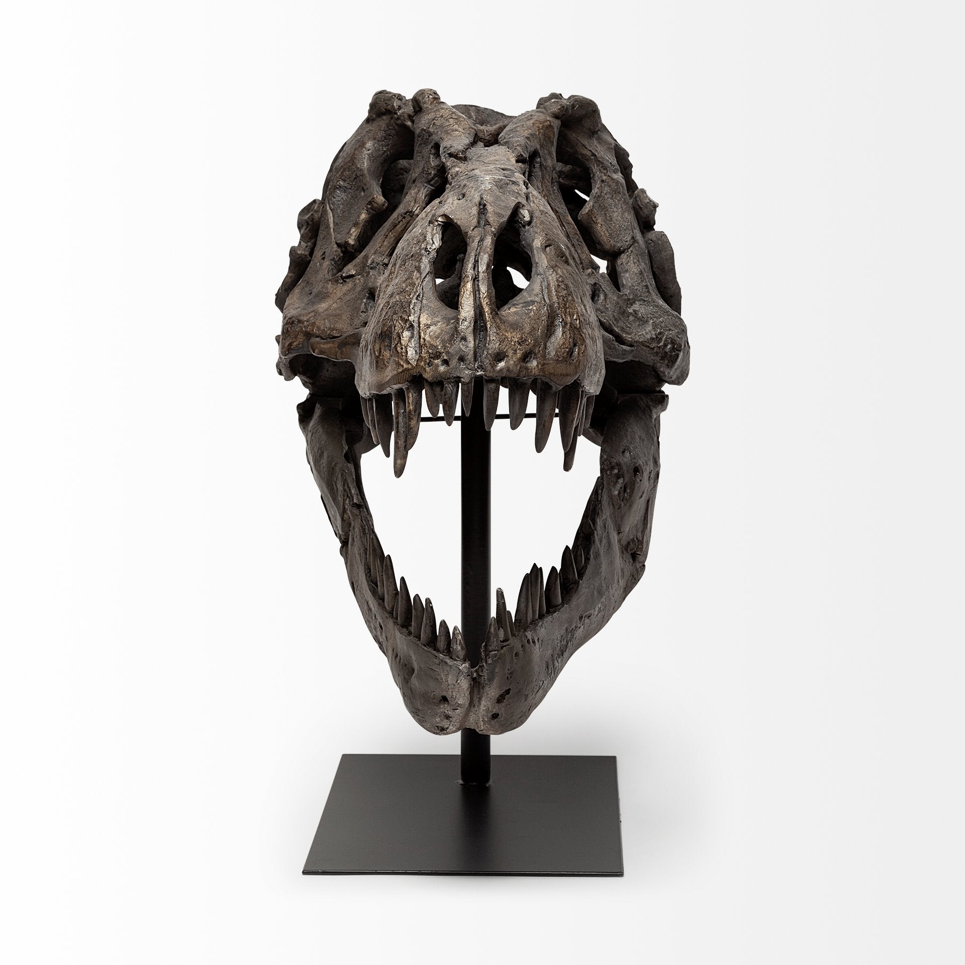 Lagrane Brown Resin Tyrannosaurus T Rex Dinosaur Skull Replica Object Decorative Objects Mercana , Black Friday Sale Mercana Furniture Sale, Old Bones Co, Mid Century Furniture Sale, Four Hands Furniture, Black Friday Sale Lagrane Brown Resin Tyrannosaurus T Rex Dinosaur Skull Replica Object,Gus Sale, Perigold Lagrane Brown Resin Tyrannosaurus T Rex Dinosaur Skull Replica Object Decorative Objects Black Friday Sale , Perigold Sale Lagrane Brown Resin Tyrannosaurus T Rex Dinosaur Skull Replica Object,Lagrane