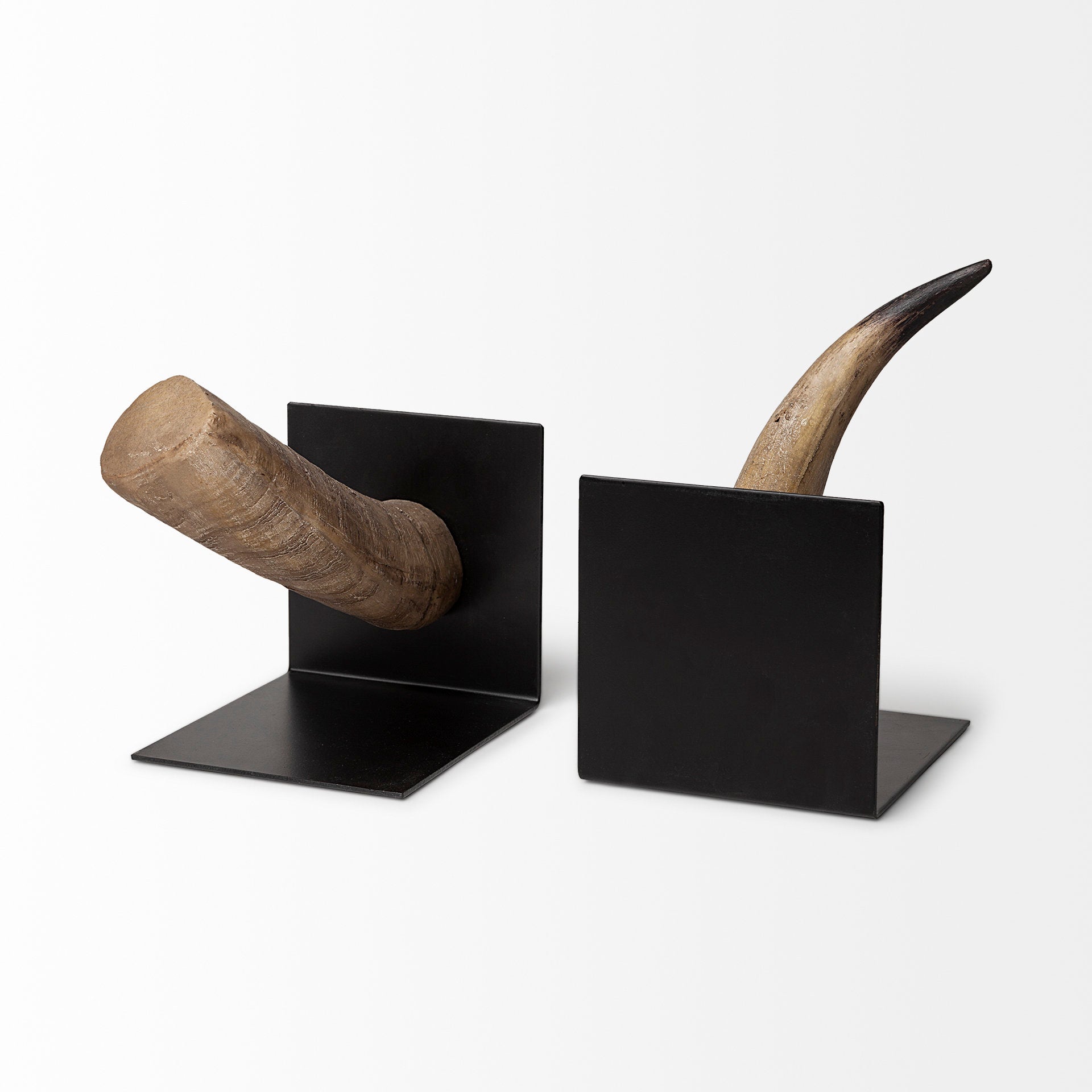 Nickerson Bull Horn Bookends - Set of 2