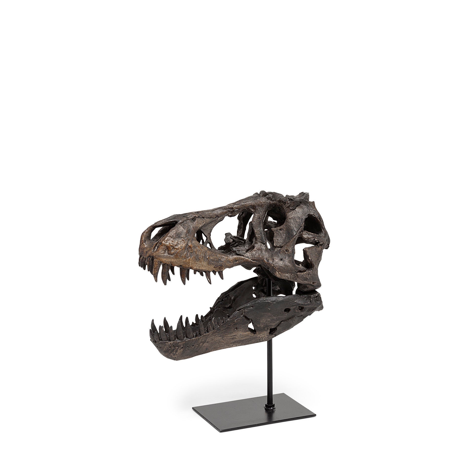 Jurassic Brown Resin Tyrannosaurus Skull Replica Object Decorative Objects Mercana , Black Friday Sale Mercana Furniture Sale, Old Bones Co, Mid Century Furniture Sale, Four Hands Furniture, Black Friday Sale Jurassic Brown Resin Tyrannosaurus Skull Replica Object,Gus Sale, Perigold Jurassic Brown Resin Tyrannosaurus Skull Replica Object Decorative Objects Black Friday Sale , Perigold Sale Jurassic Brown Resin Tyrannosaurus Skull Replica Object,Jurassic Brown Resin Tyrannosaurus Skull Replica Object Lulu an