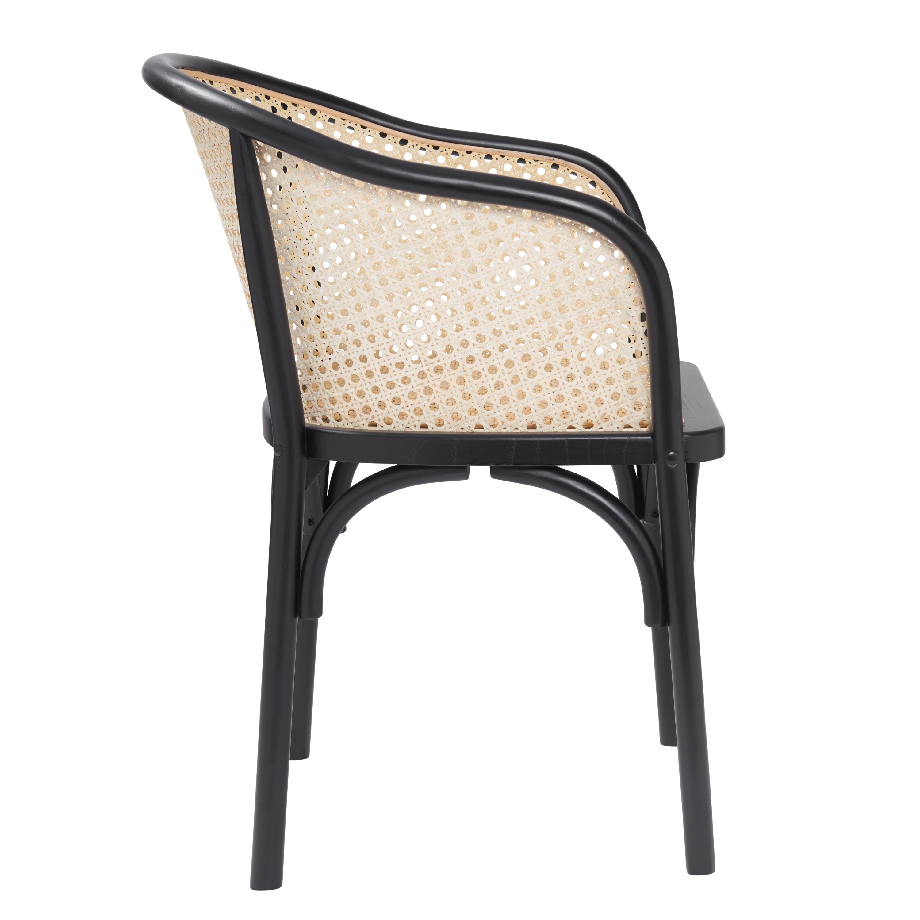 Elsy Dining Armchair Dining Chairs Euro Style , Black Friday Sale Euro Style Furniture Sale, Old Bones Co, Mid Century Furniture Sale, Four Hands Furniture, Black Friday Sale Elsy Dining Armchair,Gus Sale, Perigold Elsy Dining Armchair Dining Chairs Black Friday Sale , Perigold Sale Elsy Dining Armchair,Elsy Dining Armchair Lulu and Georgia, Burke Decor Sale Elsy Dining Armchair, www.oldbonesco.com