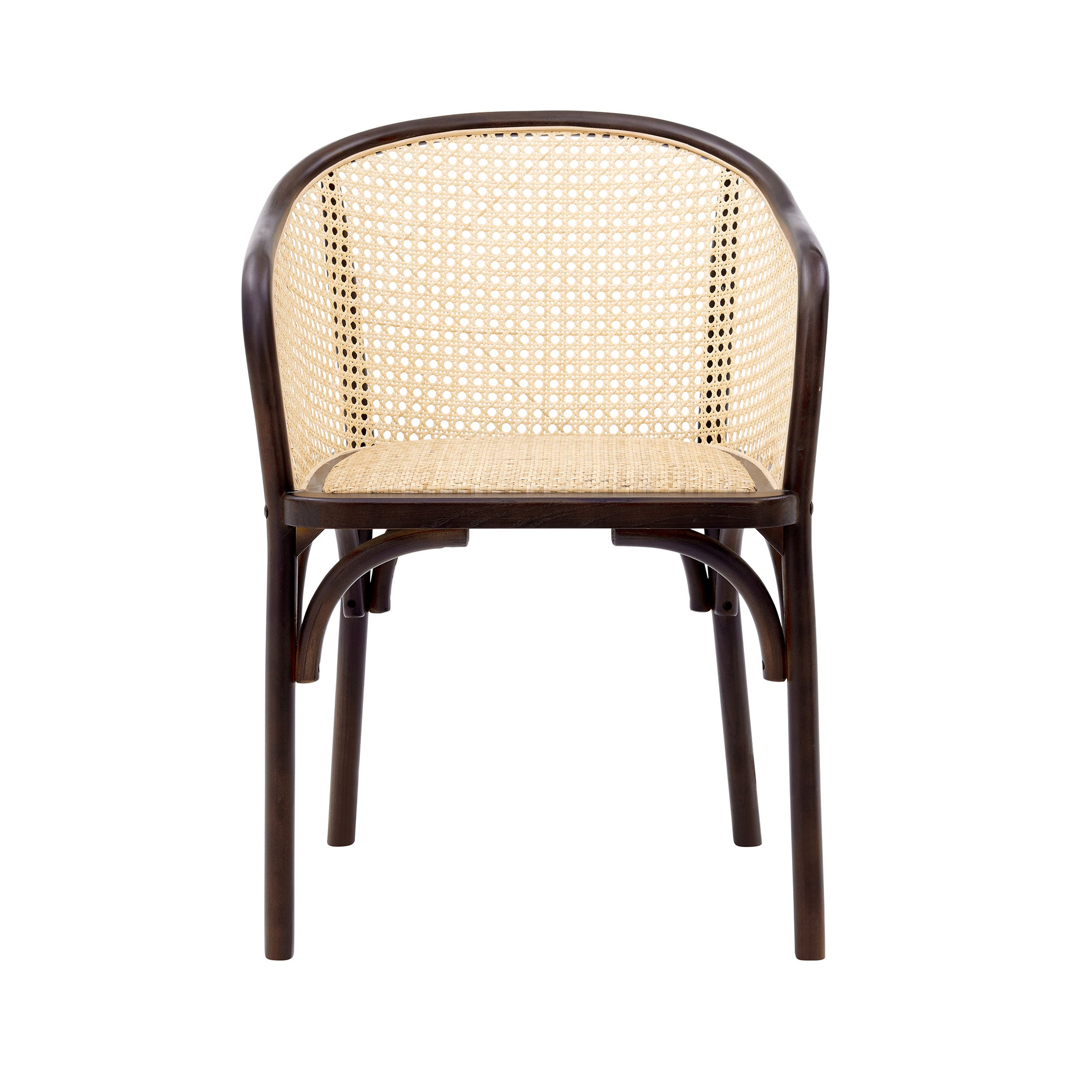 Elsy Dining Armchair Dining Chairs Euro Style , Black Friday Sale Euro Style Furniture Sale, Old Bones Co, Mid Century Furniture Sale, Four Hands Furniture, Black Friday Sale Elsy Dining Armchair,Gus Sale, Perigold Elsy Dining Armchair Dining Chairs Black Friday Sale , Perigold Sale Elsy Dining Armchair,Elsy Dining Armchair Lulu and Georgia, Burke Decor Sale Elsy Dining Armchair, www.oldbonesco.com