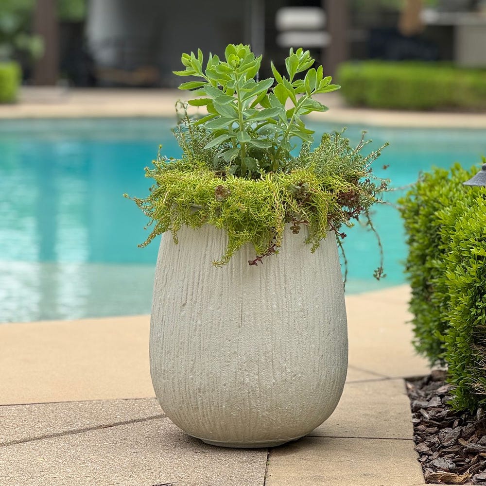 Uttermost Rustic Ridge off-White Outdoor Planter