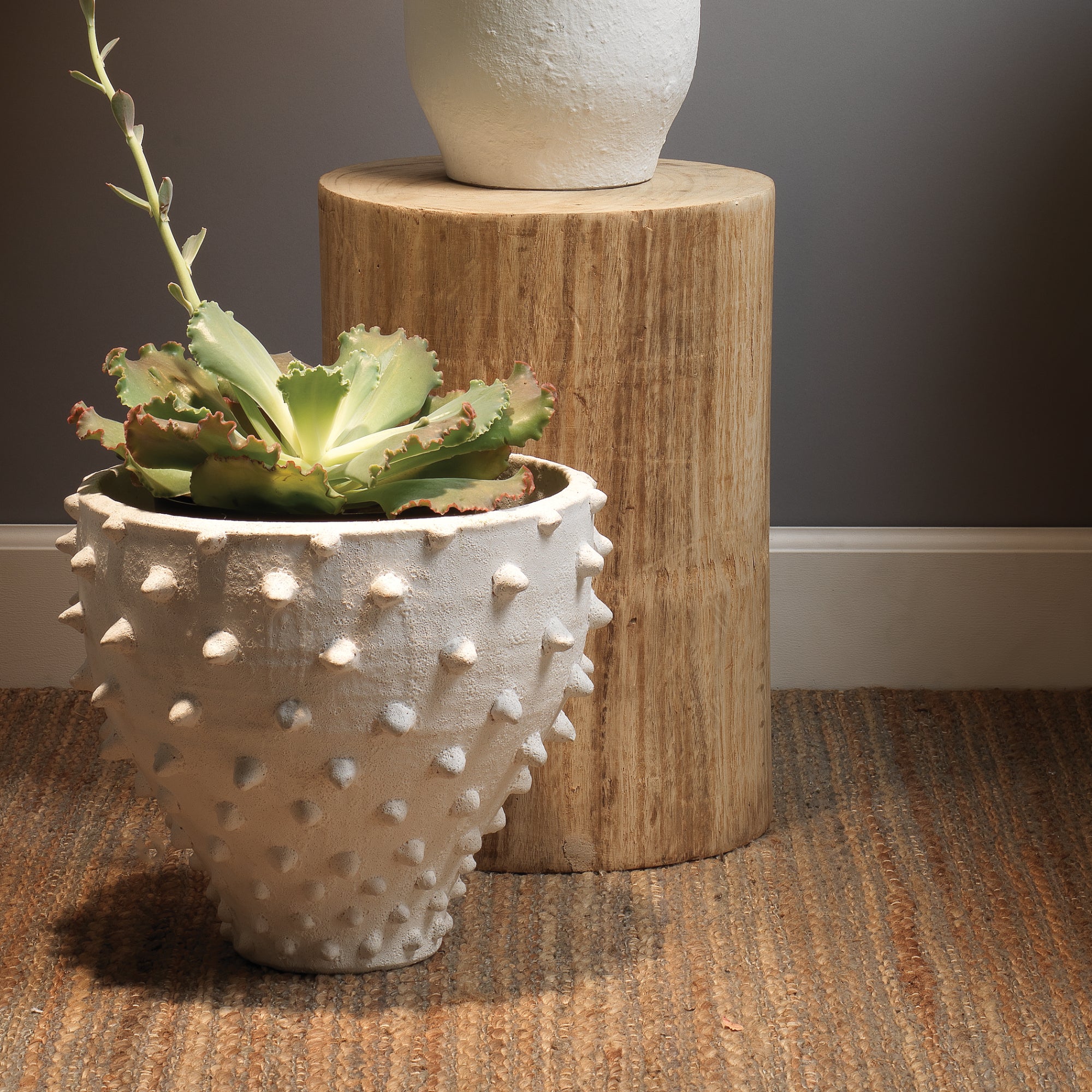 Agave Side Table Side & End Tables Jamie Young , Black Friday Sale Jamie Young Furniture Sale, Old Bones Co, Mid Century Furniture Sale, Four Hands Furniture, Black Friday Sale Agave Side Table,Gus Sale, Perigold Agave Side Table Side & End Tables Black Friday Sale , Perigold Sale Agave Side Table,Agave Side Table Lulu and Georgia, Burke Decor Sale Agave Side Table, www.oldbonesco.com
