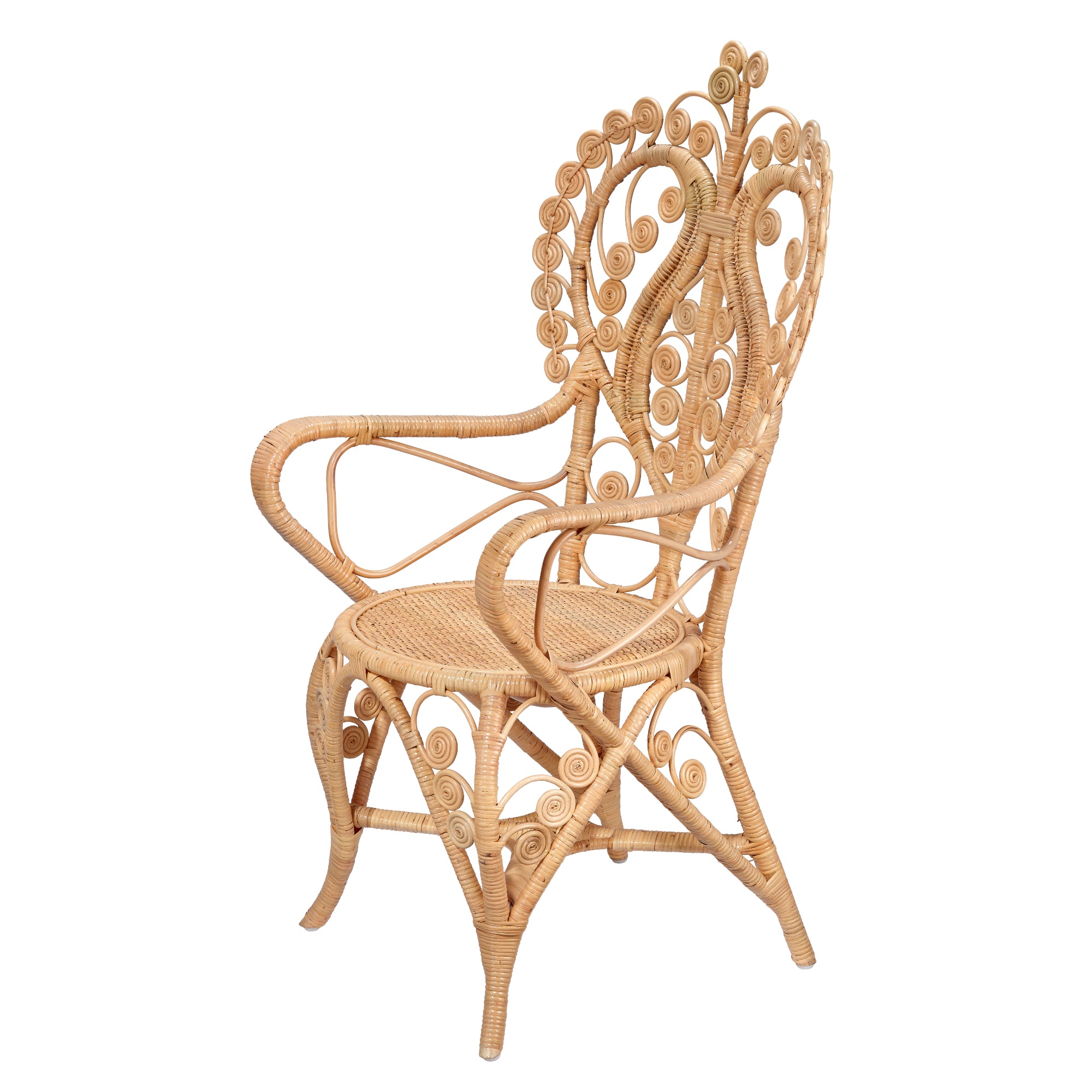 Hibiscus Arm Chair Accent Chairs Jamie Young , Black Friday Sale Jamie Young Furniture Sale, Old Bones Co, Mid Century Furniture Sale, Four Hands Furniture, Black Friday Sale Hibiscus Arm Chair,Gus Sale, Perigold Hibiscus Arm Chair Accent Chairs Black Friday Sale , Perigold Sale Hibiscus Arm Chair,Hibiscus Arm Chair Lulu and Georgia, Burke Decor Sale Hibiscus Arm Chair, www.oldbonesco.com