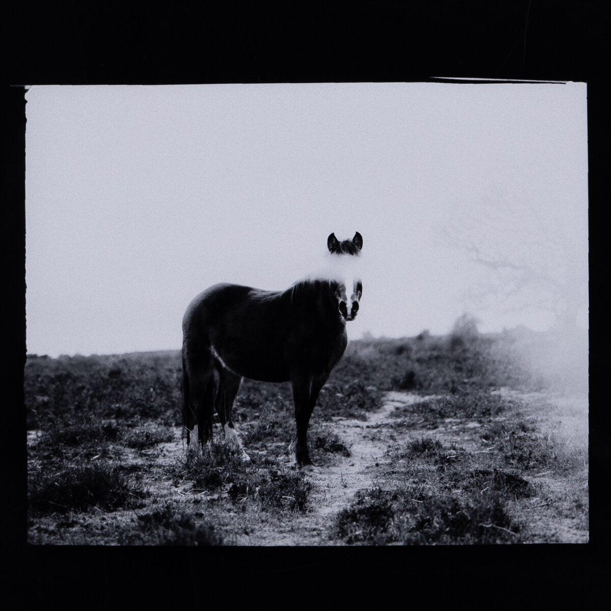 Blank Horse By Annie Spratt Art Studio Four Hands , Black Friday Sale Four Hands Furniture Sale, Old Bones Co, Mid Century Furniture Sale, Four Hands Furniture, Black Friday Sale Blank Horse By Annie Spratt,Gus Sale, Perigold Blank Horse By Annie Spratt Art Studio Black Friday Sale , Perigold Sale Blank Horse By Annie Spratt,Blank Horse By Annie Spratt Lulu and Georgia, Burke Decor Sale Blank Horse By Annie Spratt, www.oldbonesco.com