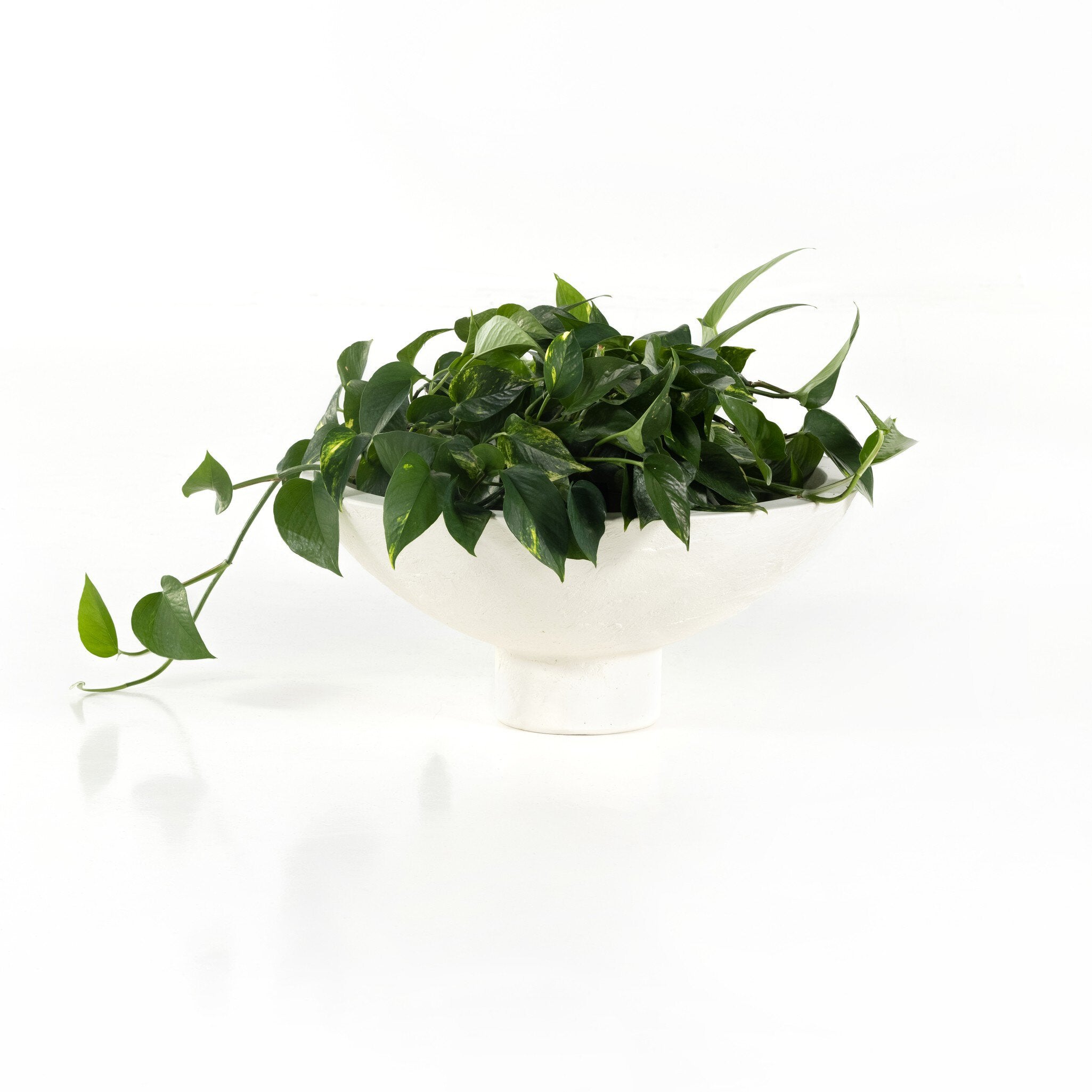 Pressler Outdoor Planter - Set Of 2