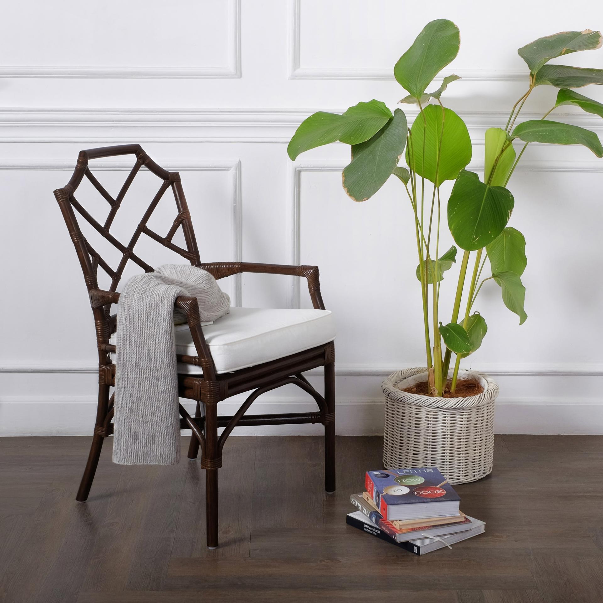 Kara Dining Side Arm Chair Dining Chairs NPD , Black Friday Sale NPD Furniture Sale, Old Bones Co, Mid Century Furniture Sale, Four Hands Furniture, Black Friday Sale Kara Dining Side Arm Chair,Gus Sale, Perigold Kara Dining Side Arm Chair Dining Chairs Black Friday Sale , Perigold Sale Kara Dining Side Arm Chair,Kara Dining Side Arm Chair Lulu and Georgia, Burke Decor Sale Kara Dining Side Arm Chair, www.oldbonesco.com