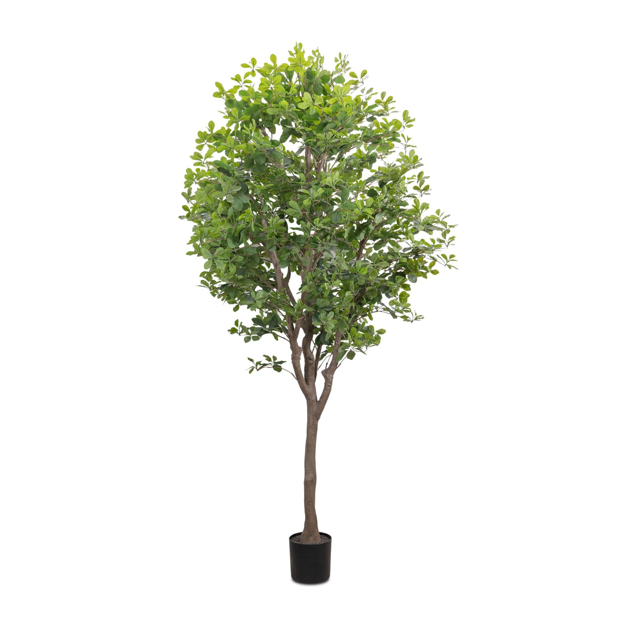 Faux Aralia Tree