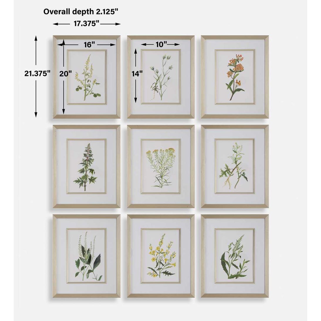 Uttermost Botanical Flowers Framed Prints - Set of 9