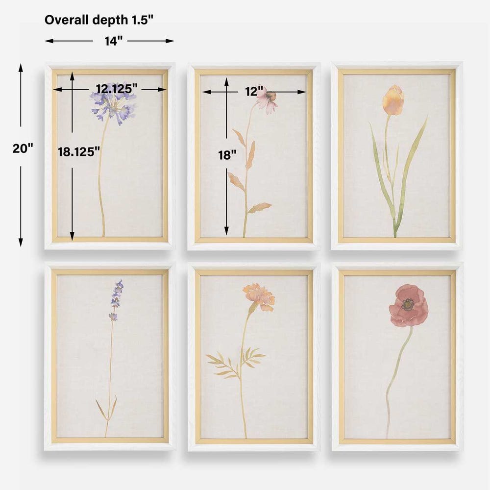 Uttermost Wild Flourish Framed Floral Prints - Set of 6