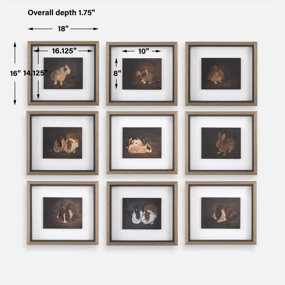 Uttermost Resting Bunny Framed Prints - Set of 9