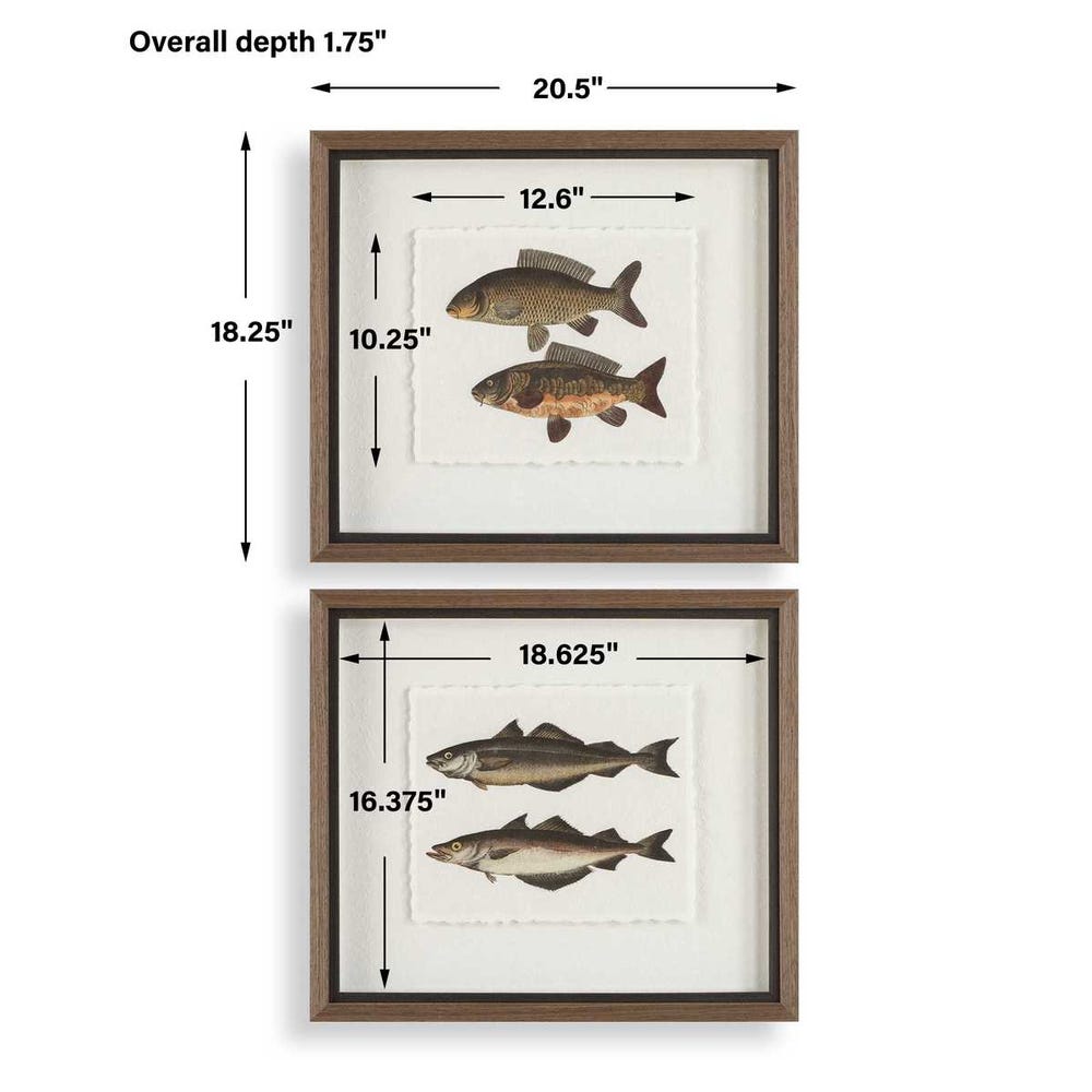 Uttermost The Catch Framed Fish Prints - Set of 2