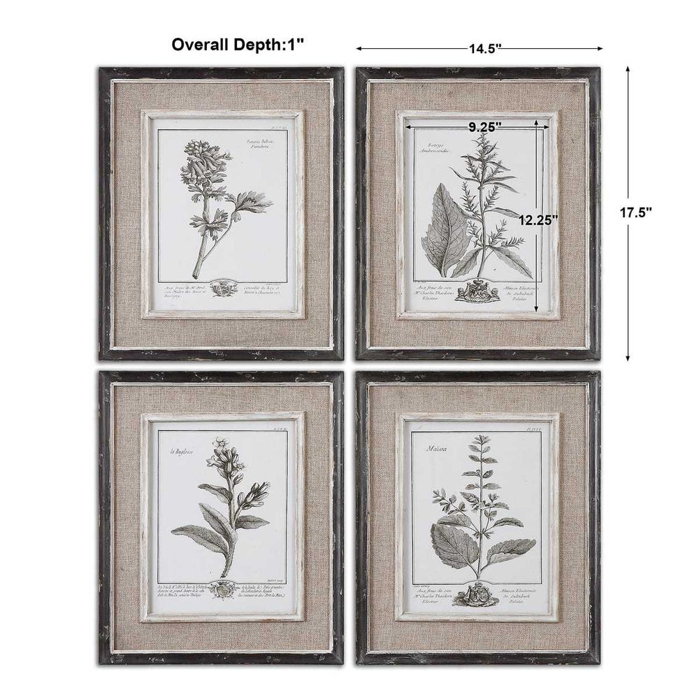 Uttermost Casual Grey Study Framed Art - Set of 4