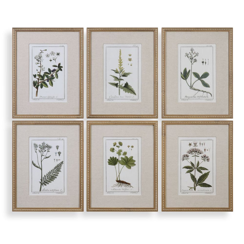 Uttermost Green Floral Botanical Study Prints - Set of 6
