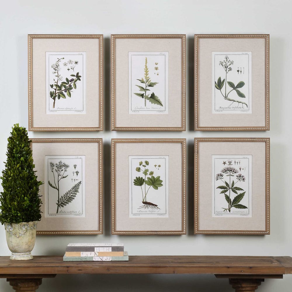 Uttermost Green Floral Botanical Study Prints - Set of 6