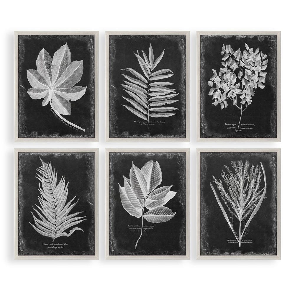 Uttermost Foliage Framed Prints - Set of 6