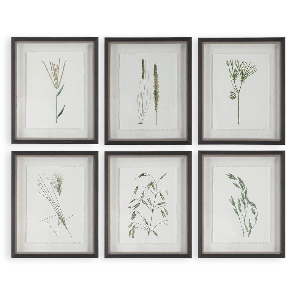 Uttermost Forest Finds Framed Prints - Set of 6