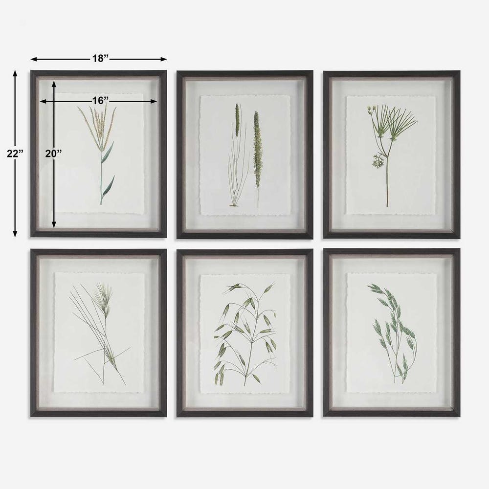 Uttermost Forest Finds Framed Prints - Set of 6