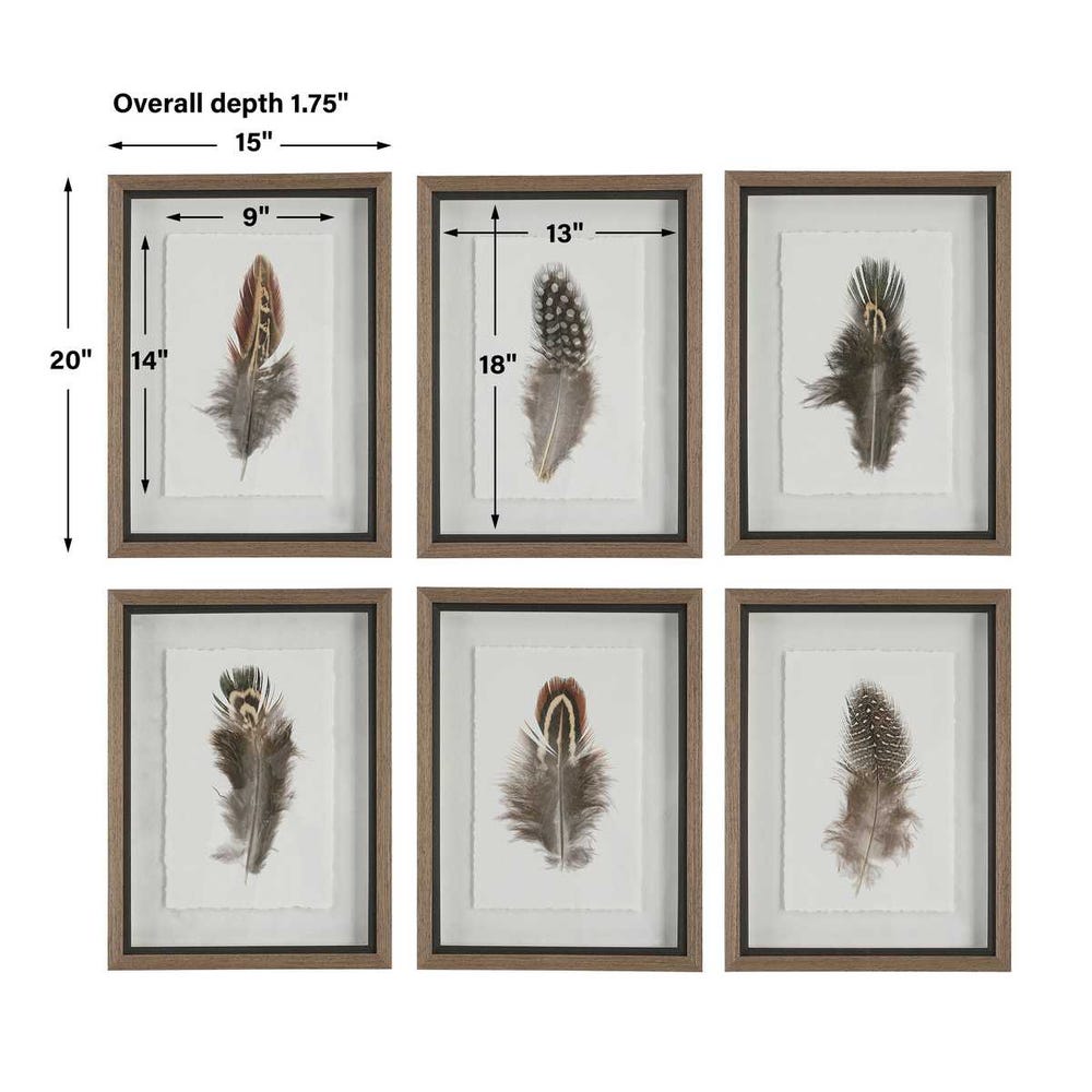 Uttermost Birds Of A Feather Framed Prints - Set of 6