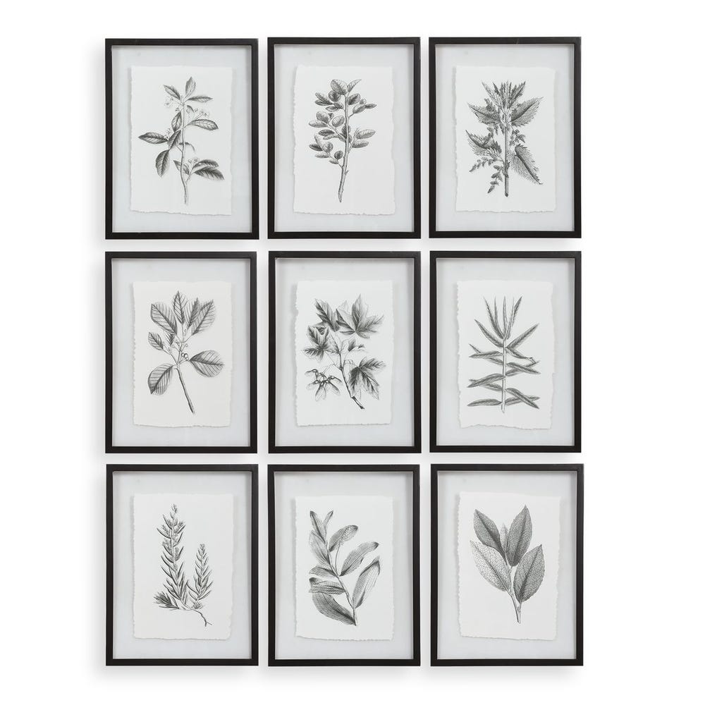 Uttermost Farmhouse Florals Framed Prints - Set of 9