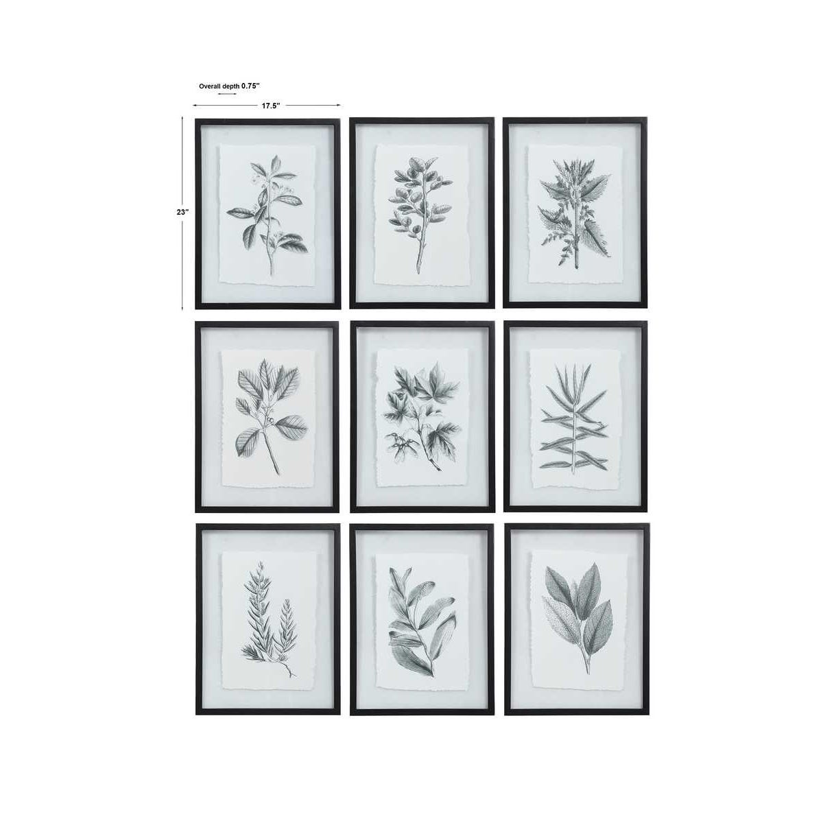 Uttermost Farmhouse Florals Framed Prints - Set of 9