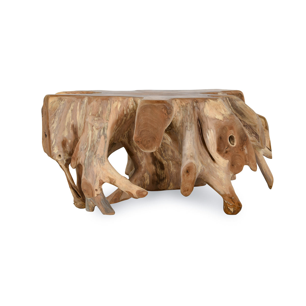 Cypress Root Coffee Table