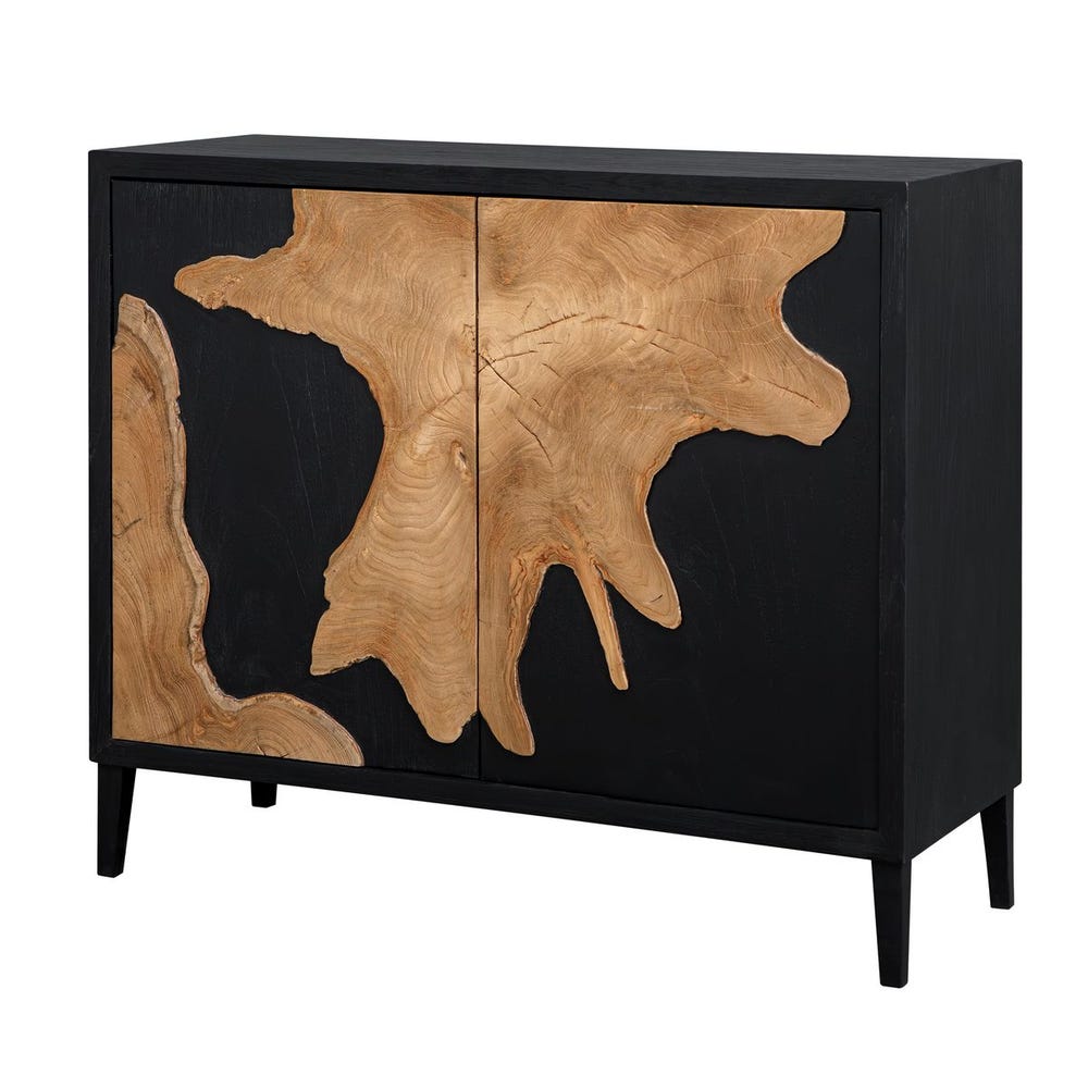 Uttermost Andrei Teak Root 2 Door Cabinet