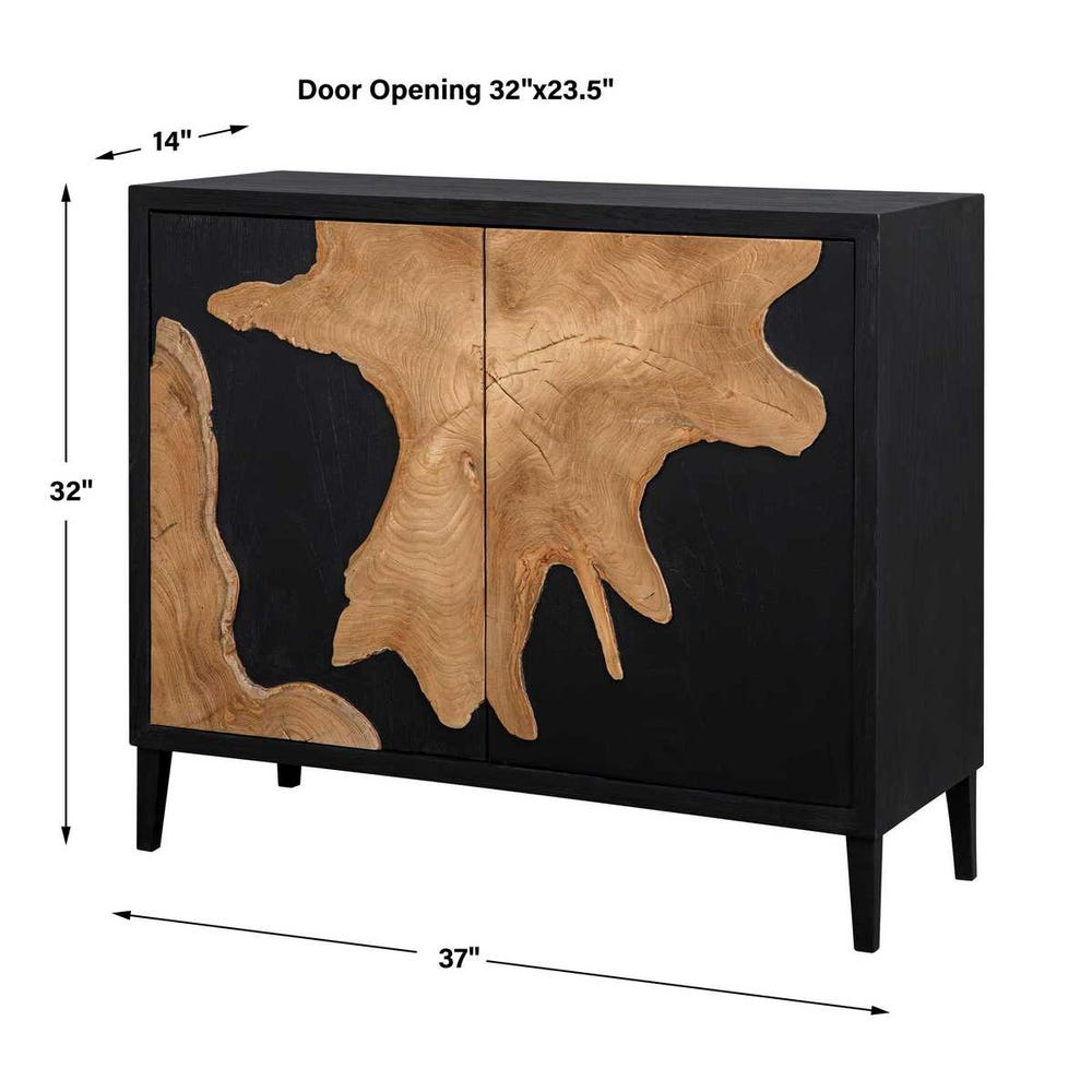Uttermost Andrei Teak Root 2 Door Cabinet