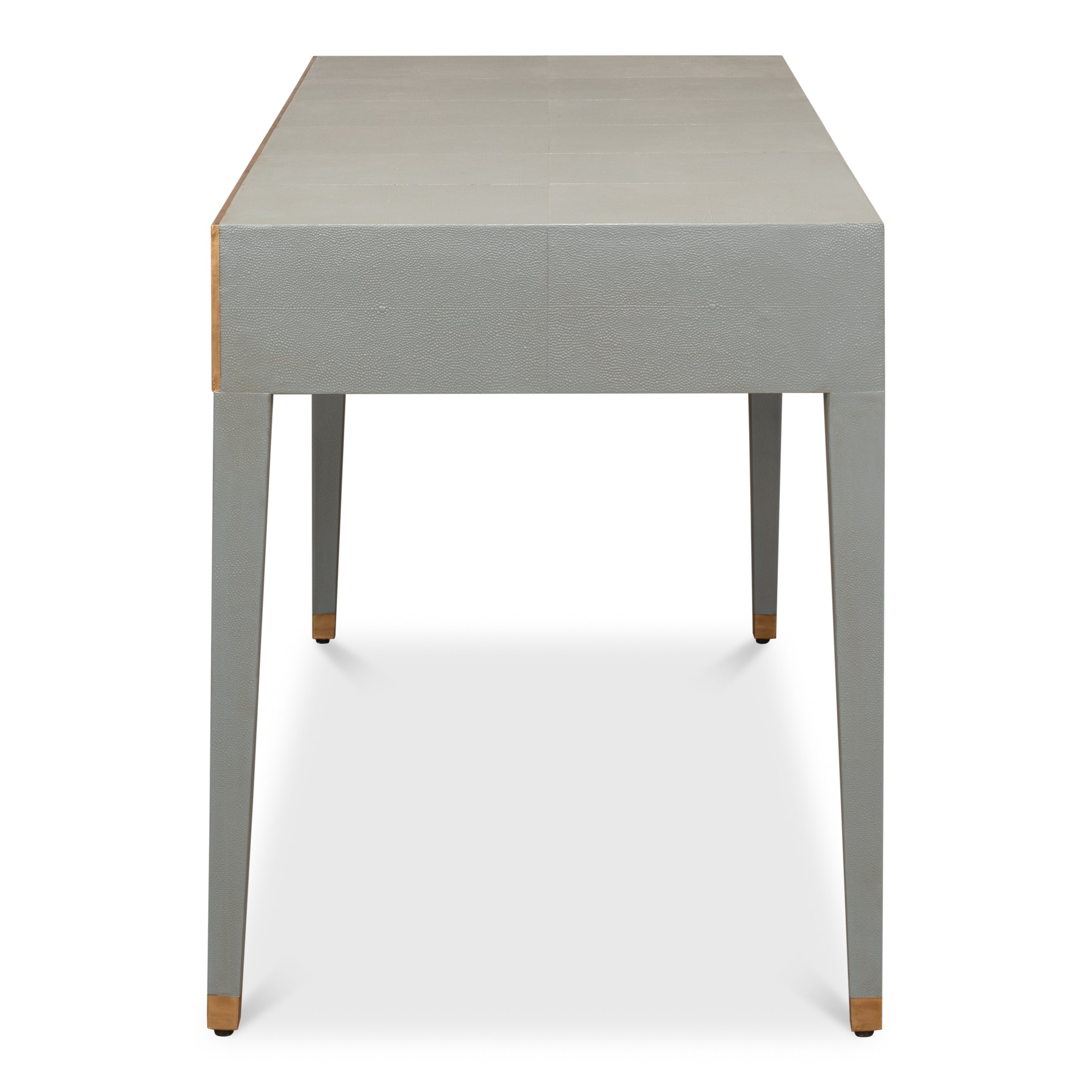 Gabriella Shagreen Desk