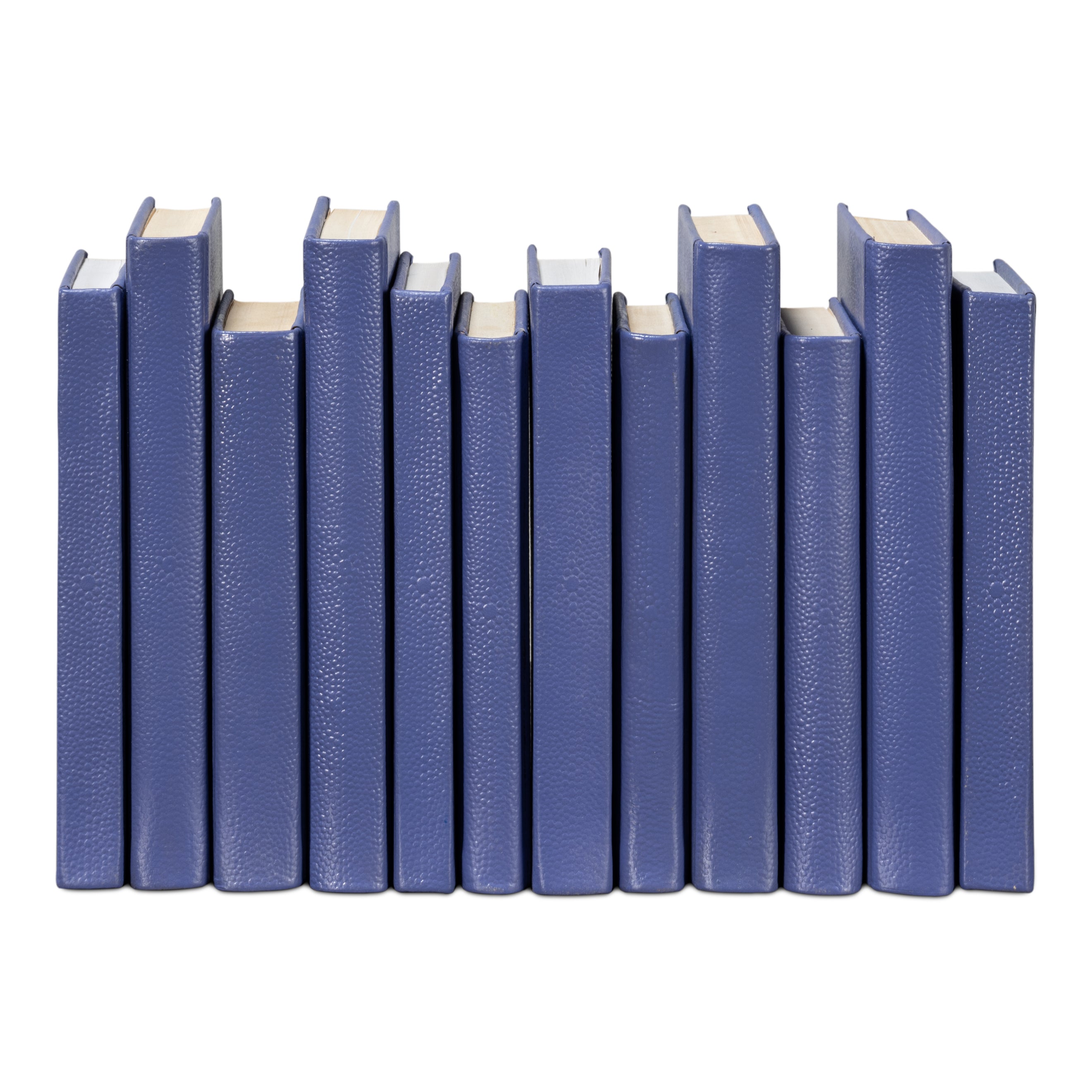 Shagreen Books - Set of 12
