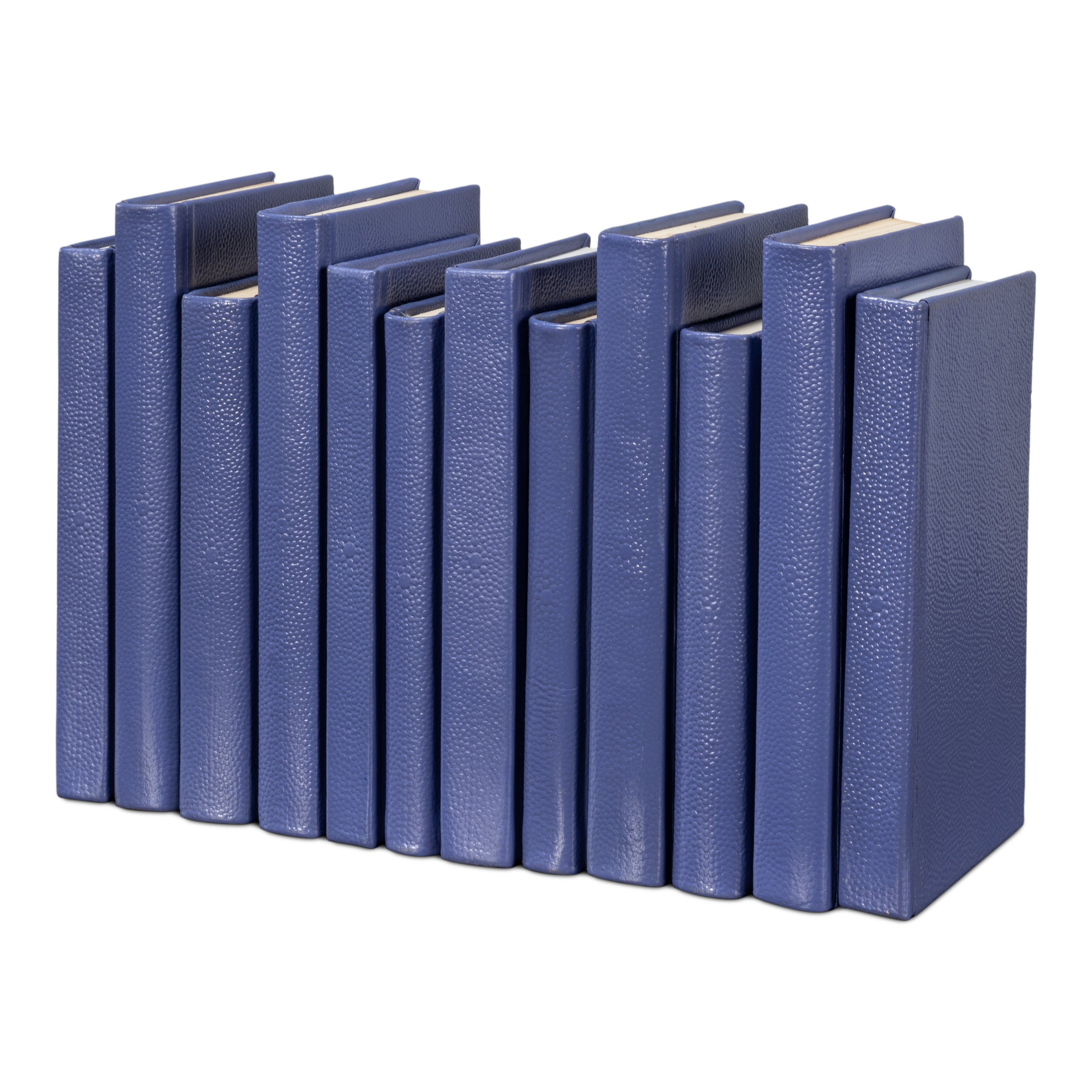 Shagreen Books - Set of 12