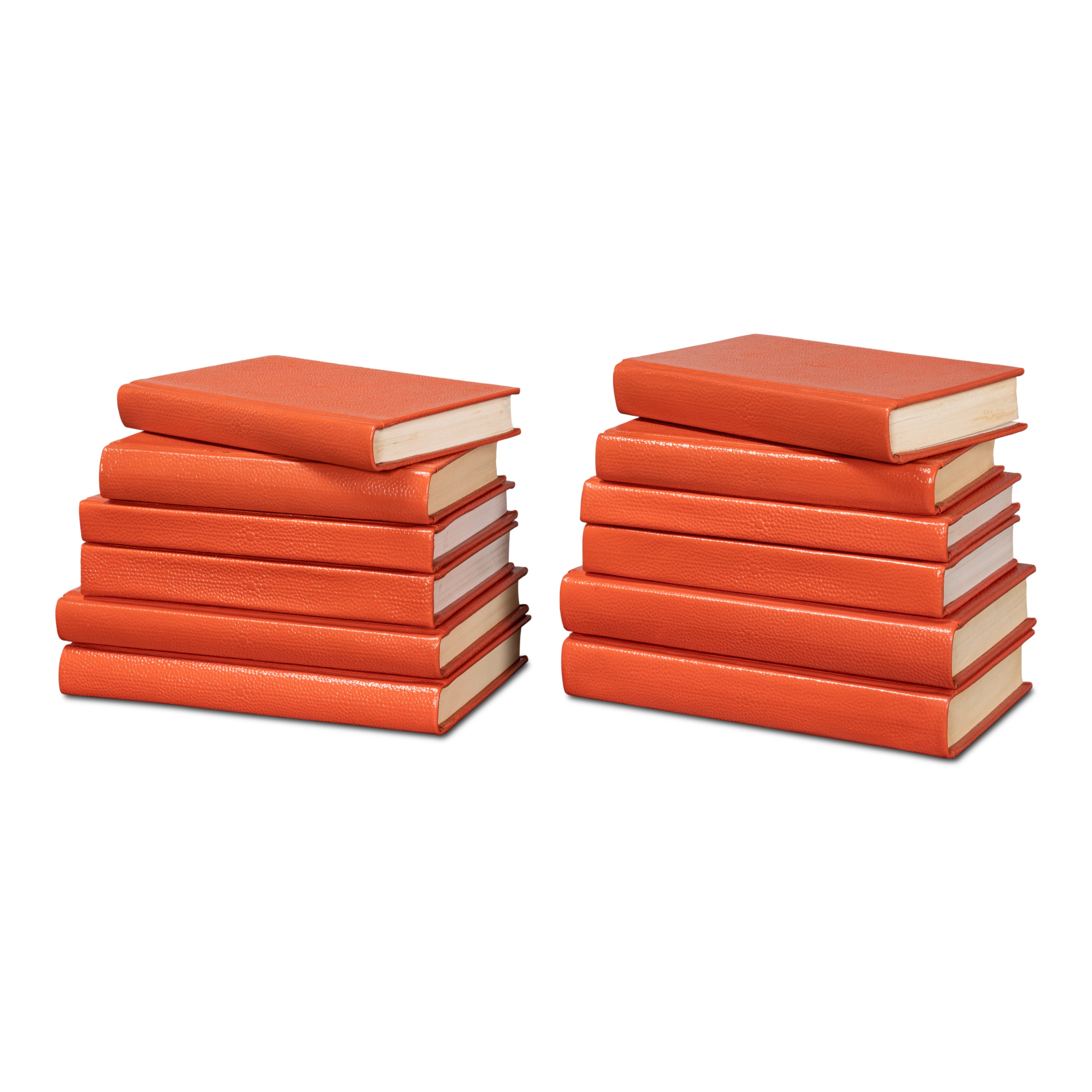 Shagreen Books - Set of 12