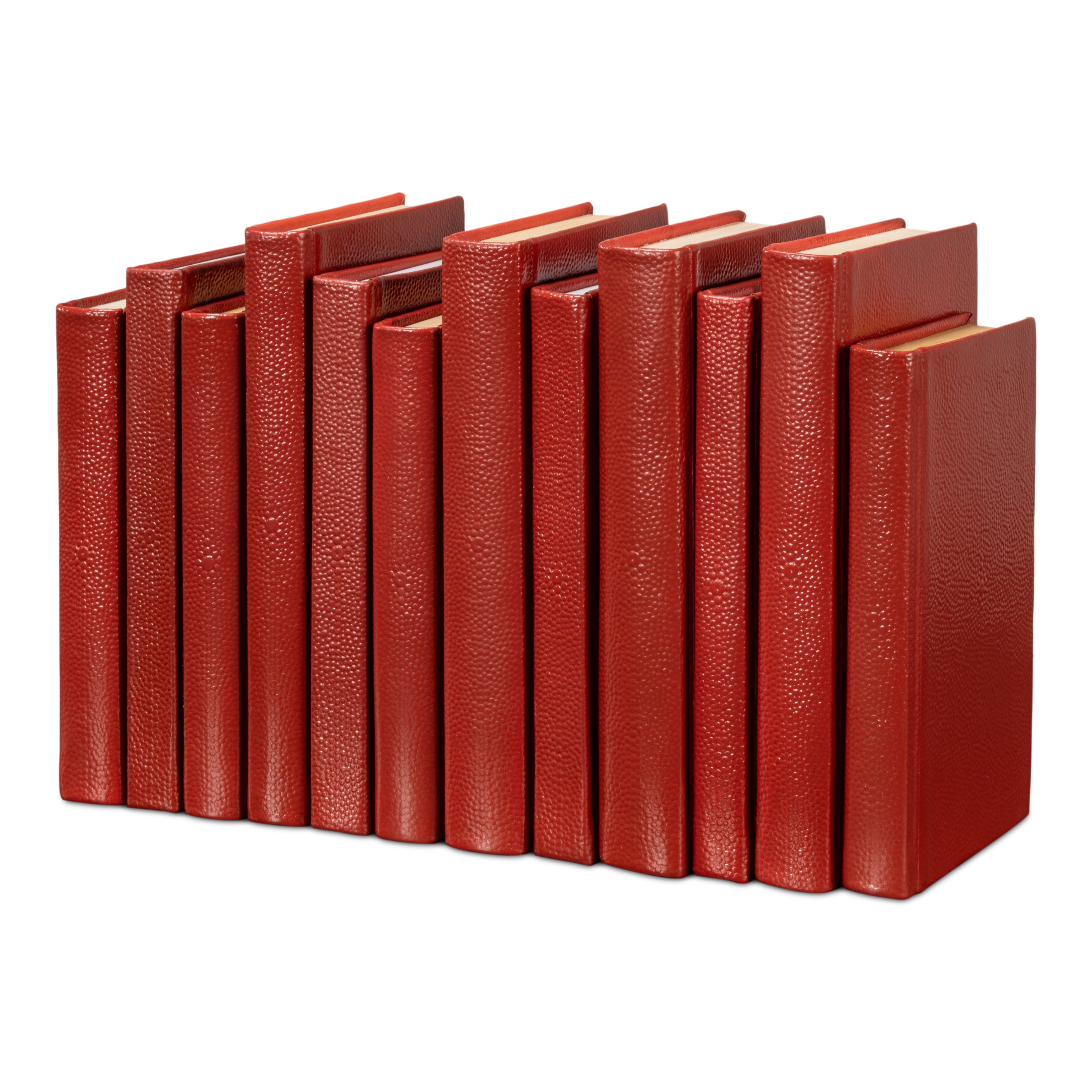 Shagreen Books - Set of 12
