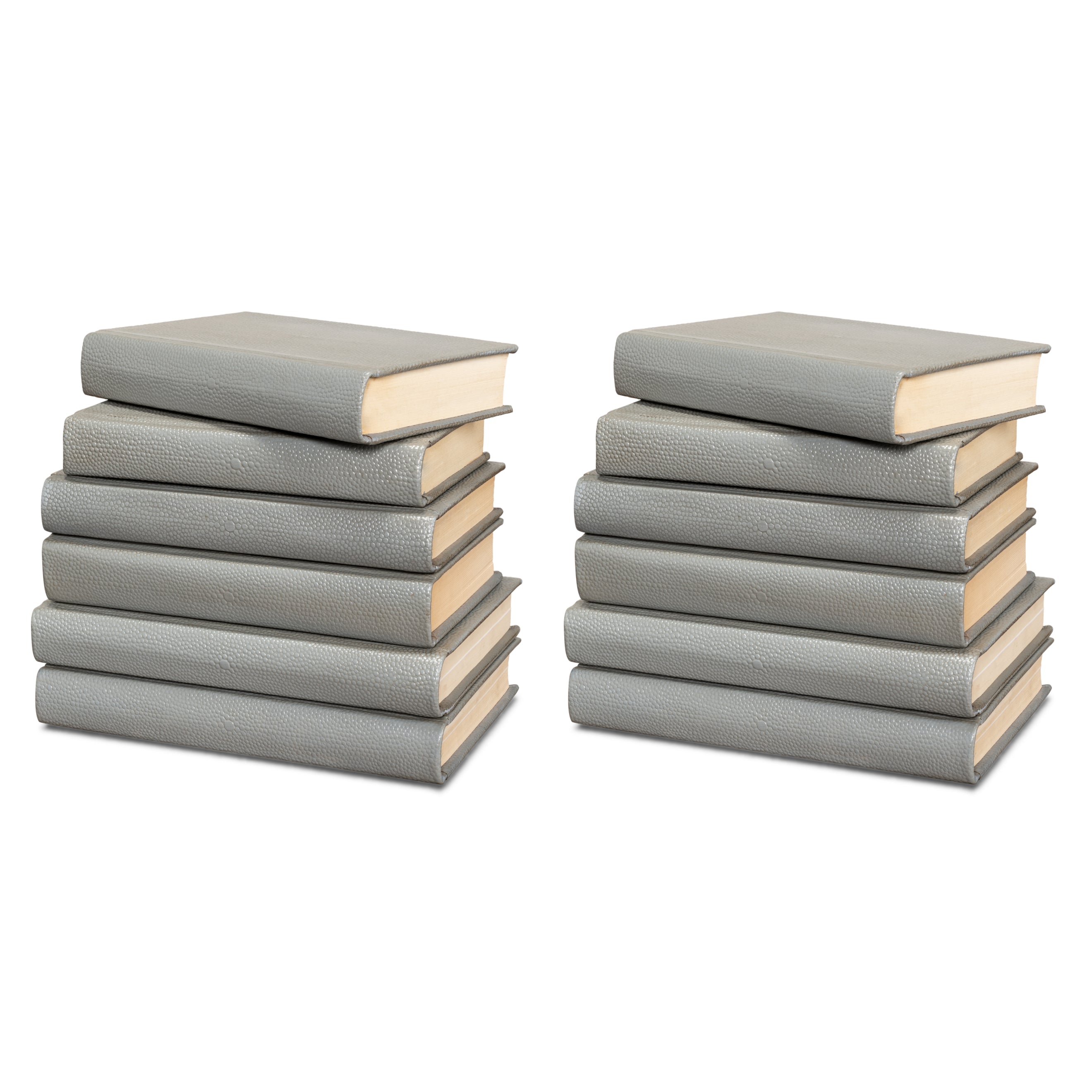 Shagreen Books - Set of 12