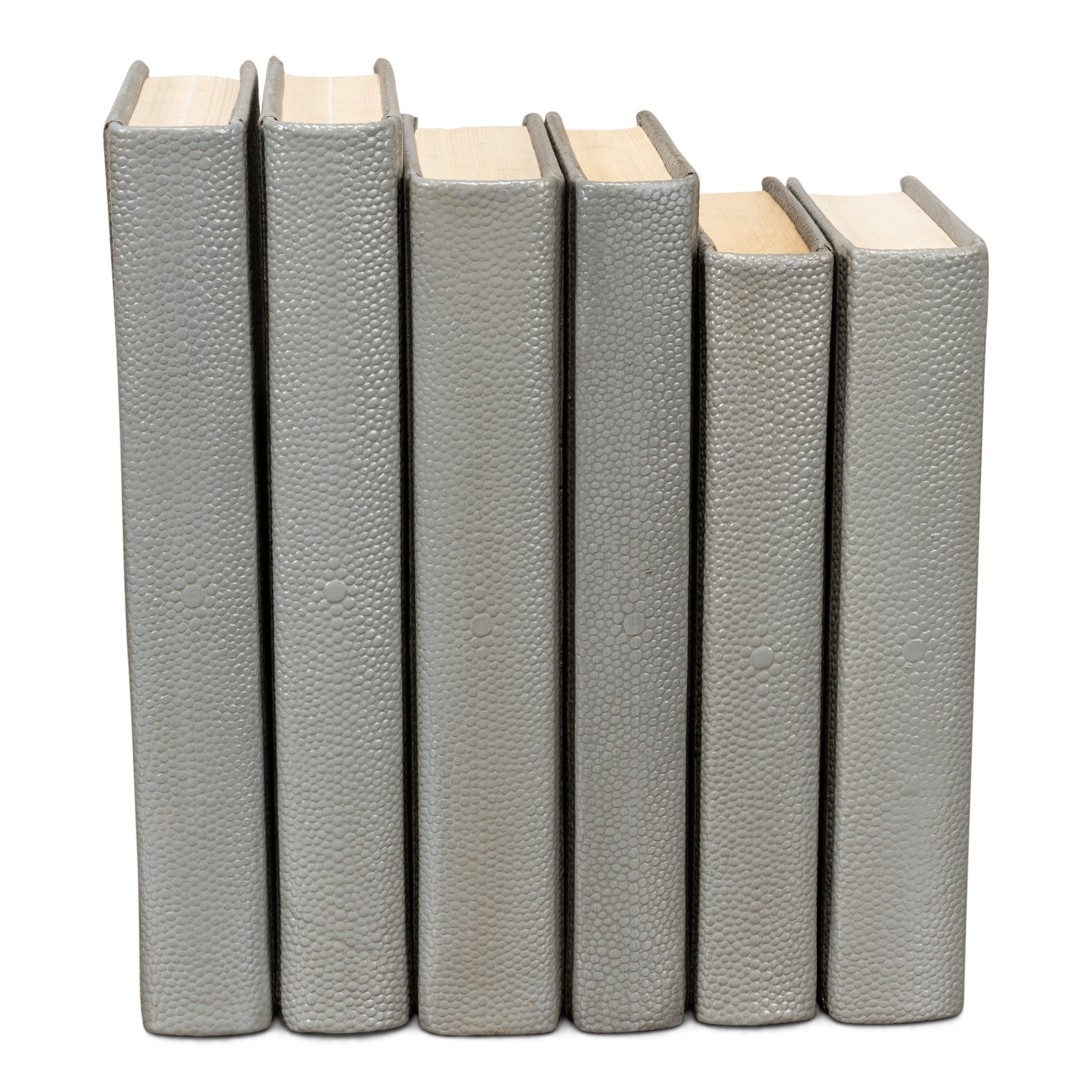 Shagreen Books - Set of 12