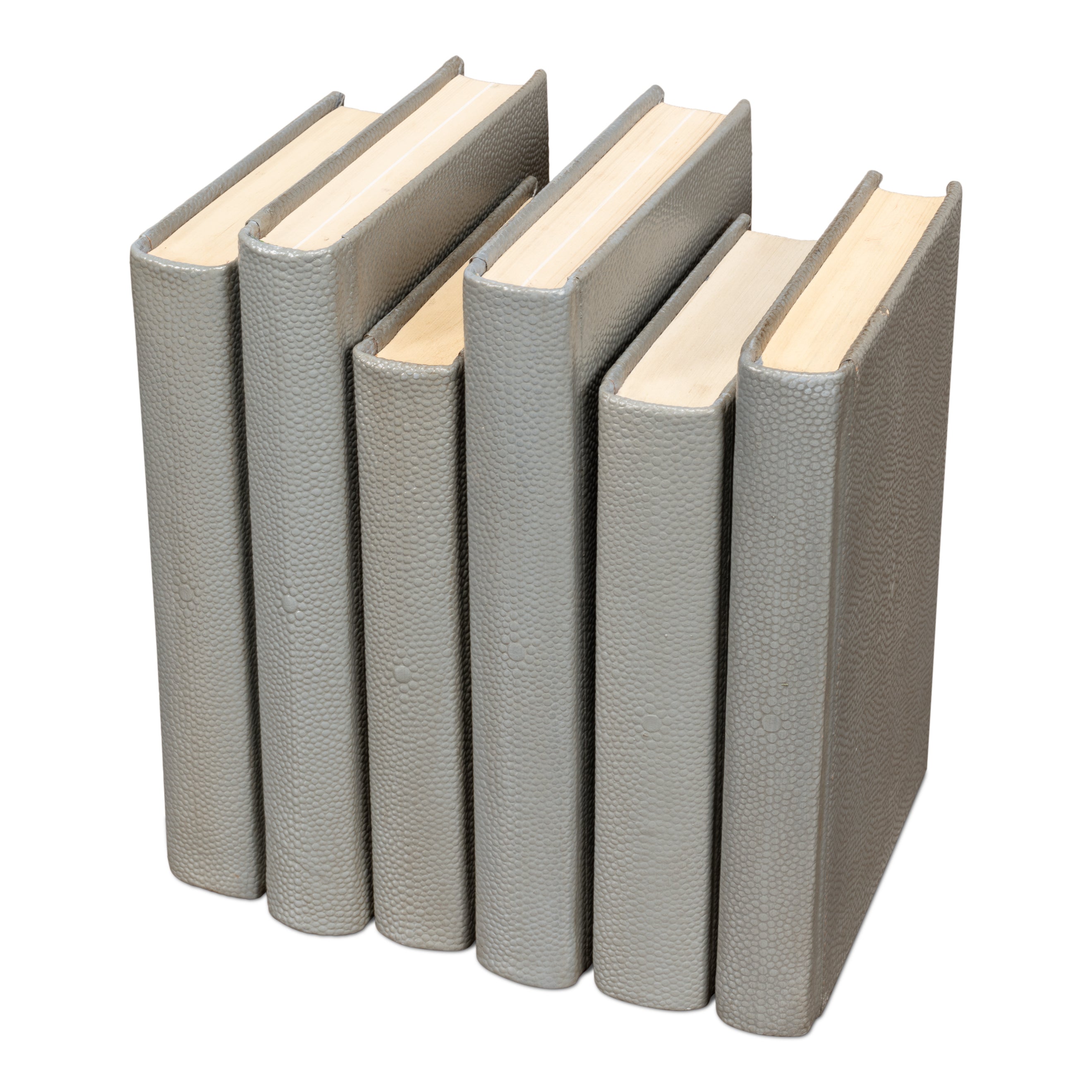 Shagreen Books - Set of 12