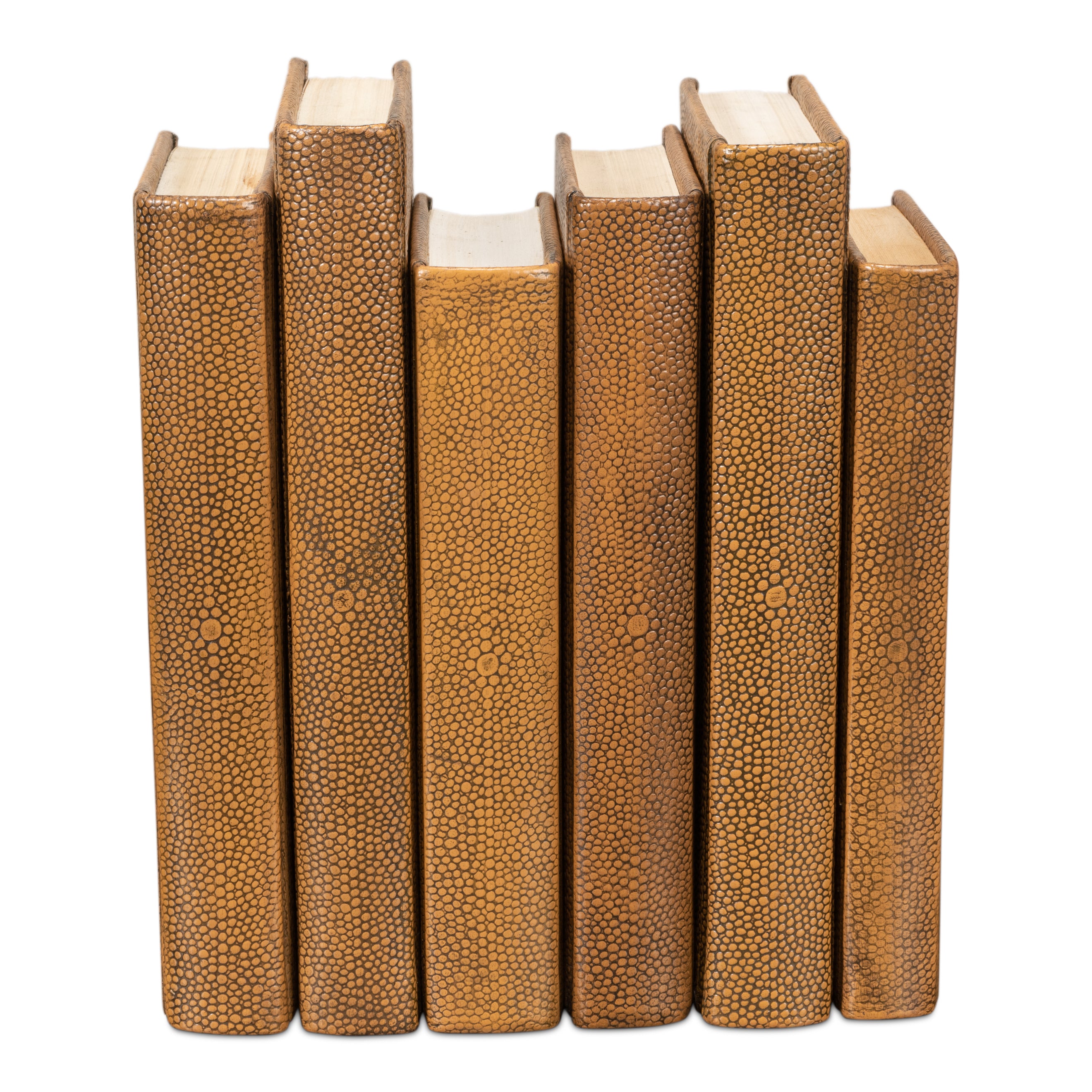 Shagreen Books - Set of 12