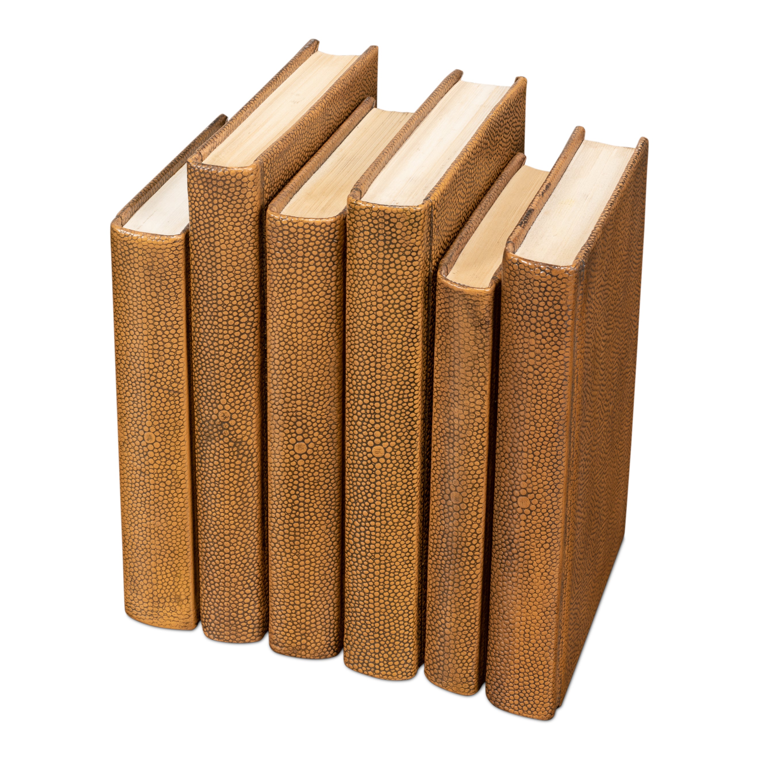 Shagreen Books - Set of 12