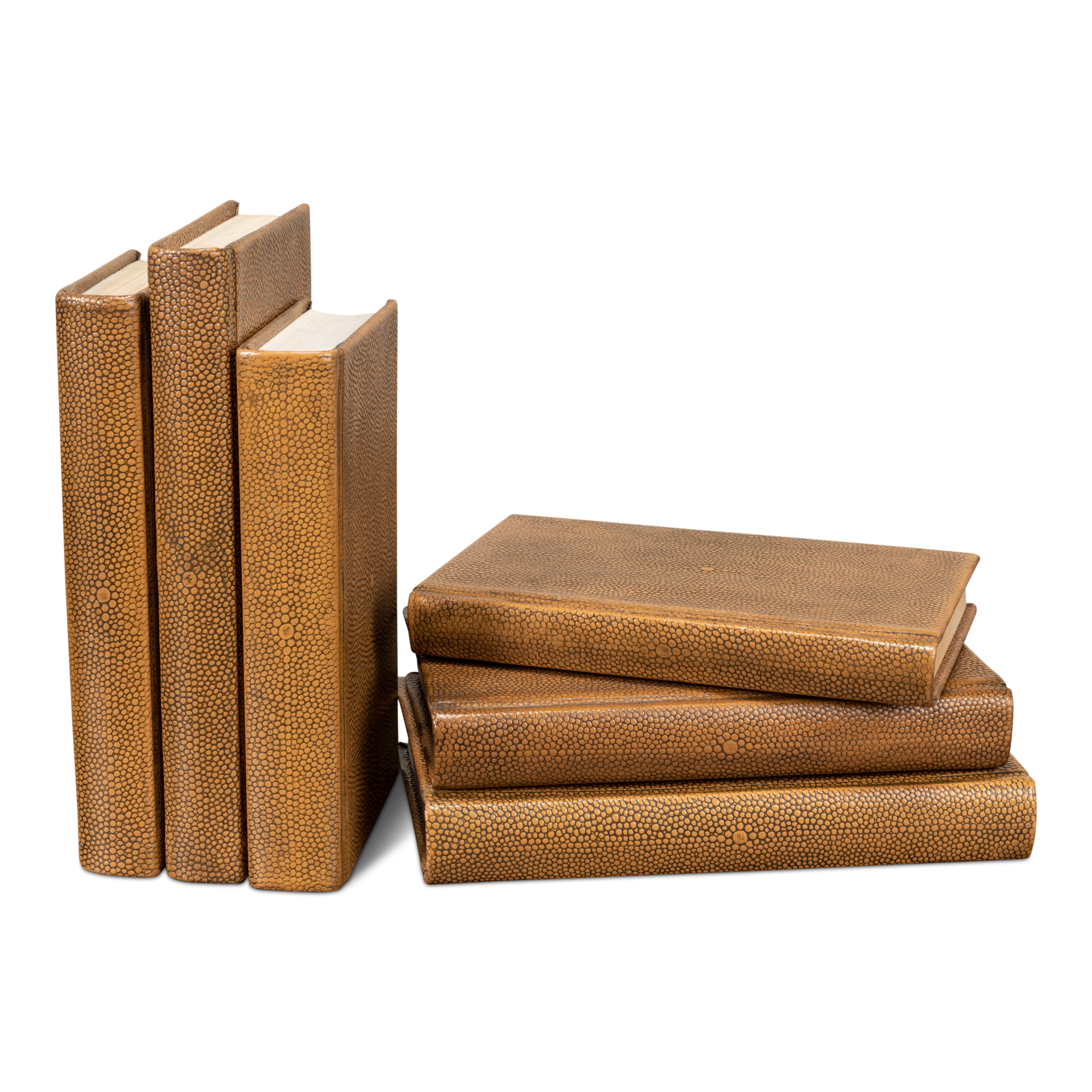 Shagreen Books - Set of 12