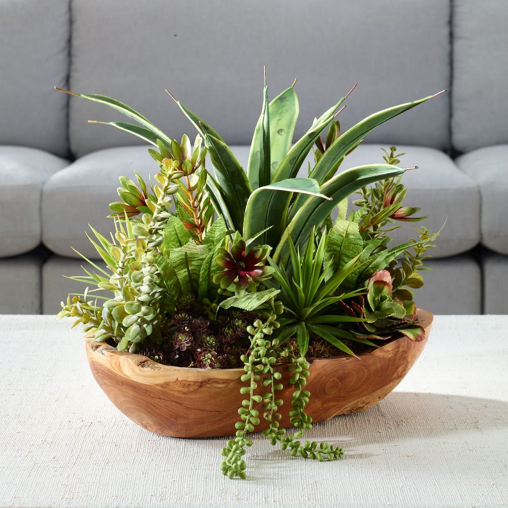 Uttermost Salar Succulents in Teak Bowl