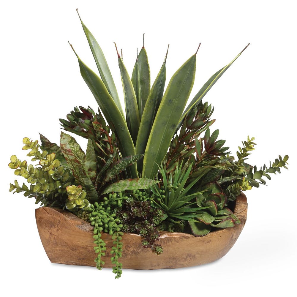 Uttermost Salar Succulents in Teak Bowl